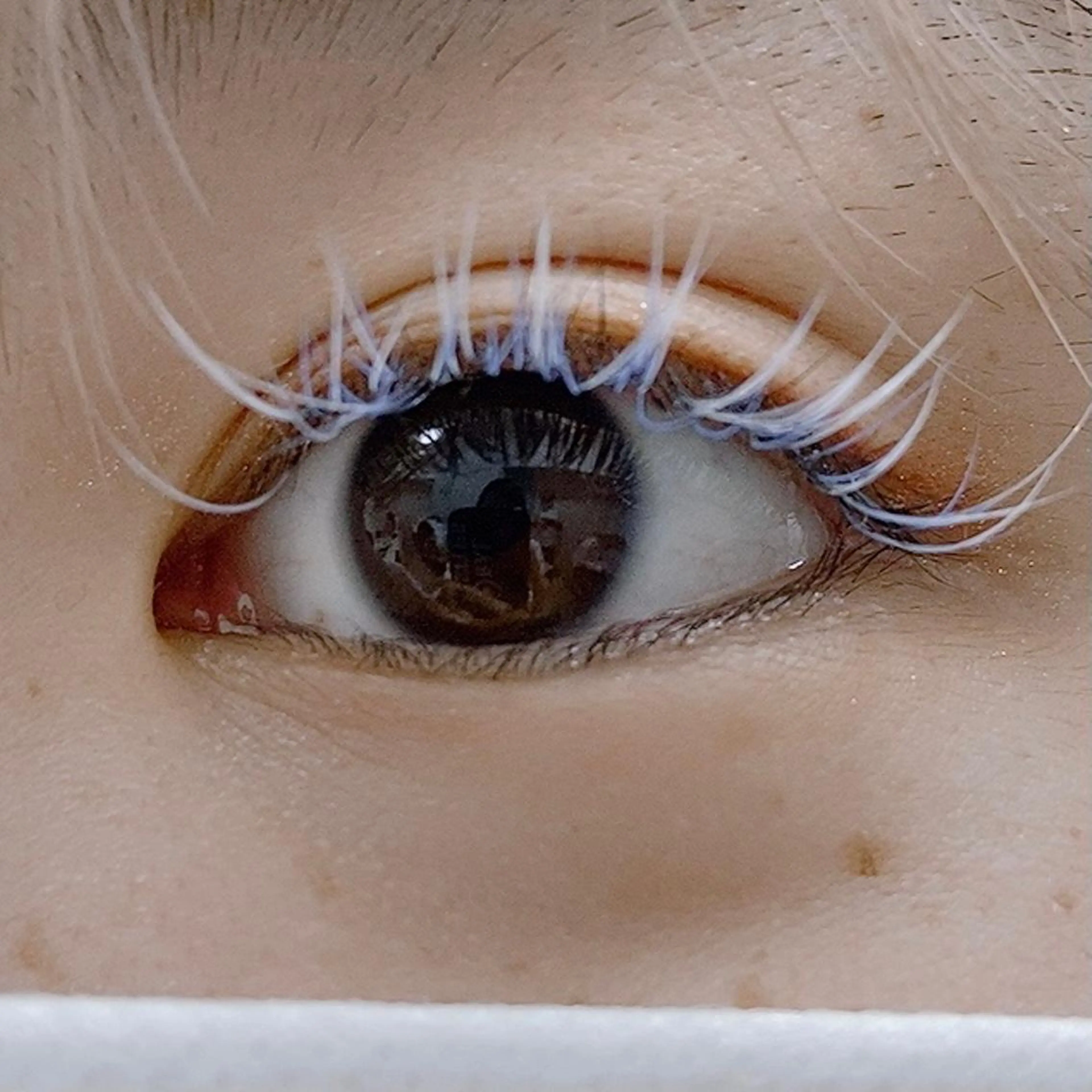 マツエク・マツパ Cカール ✧elpatio✧︎ 小出紗羅のマツエク・マツパデザイン