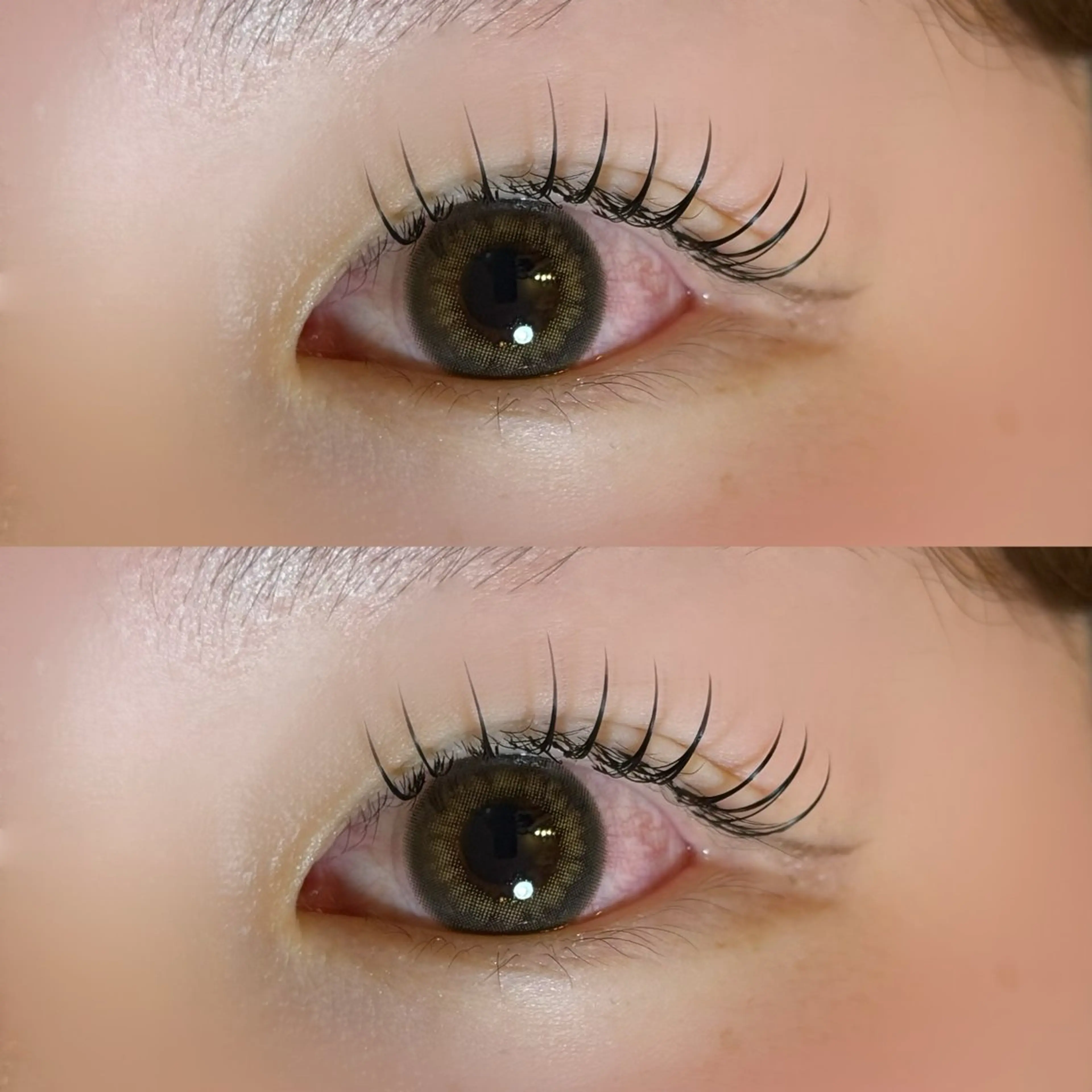 マツエク・マツパ フラットラッシュ マツエク 🐾ROAR🐾 HAZUKIのマツエク・マツパデザイン