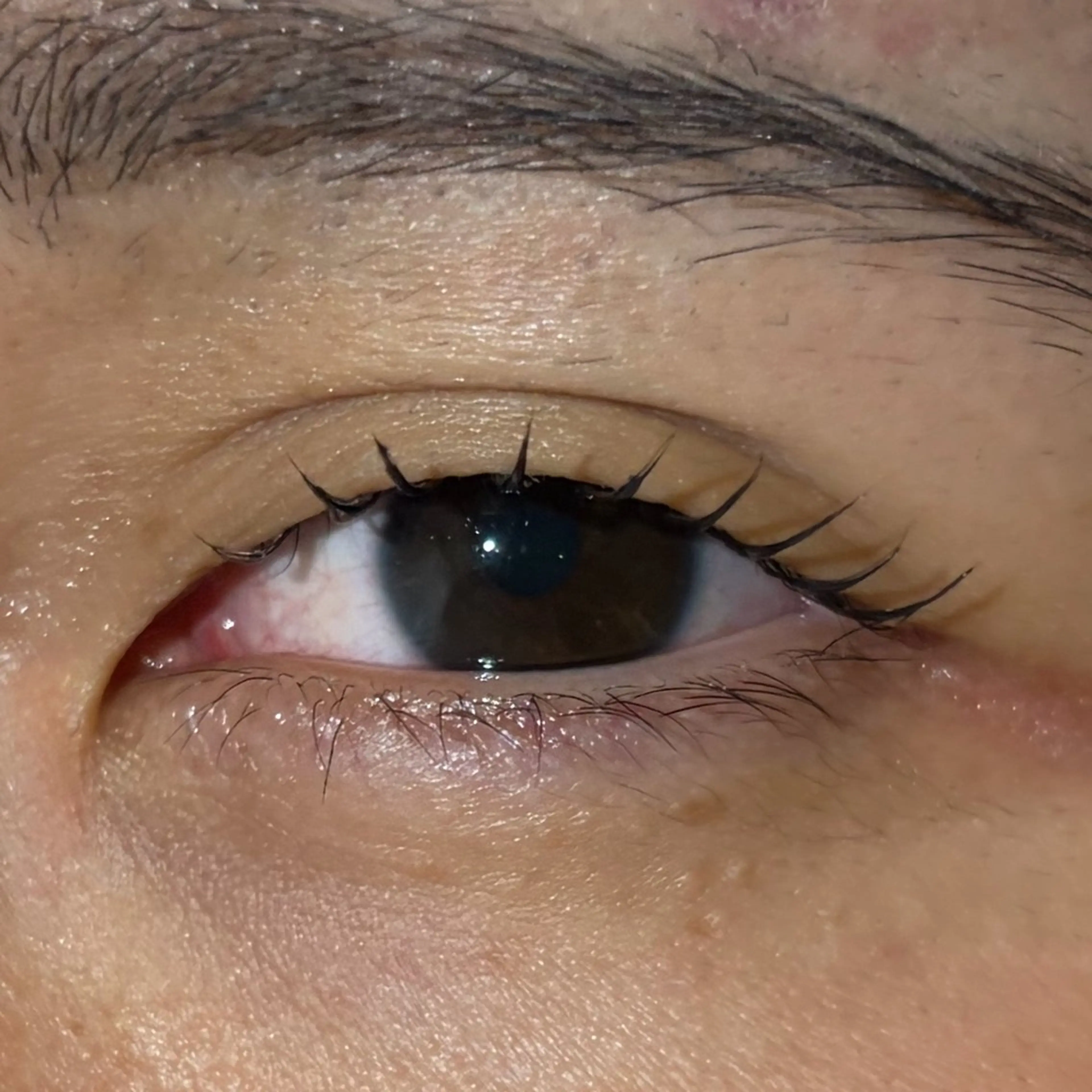 マツエク・マツパ マツパ ななみ.⋆𝜗𝜚 暖色艶カラー/まつパのヘアスタイル