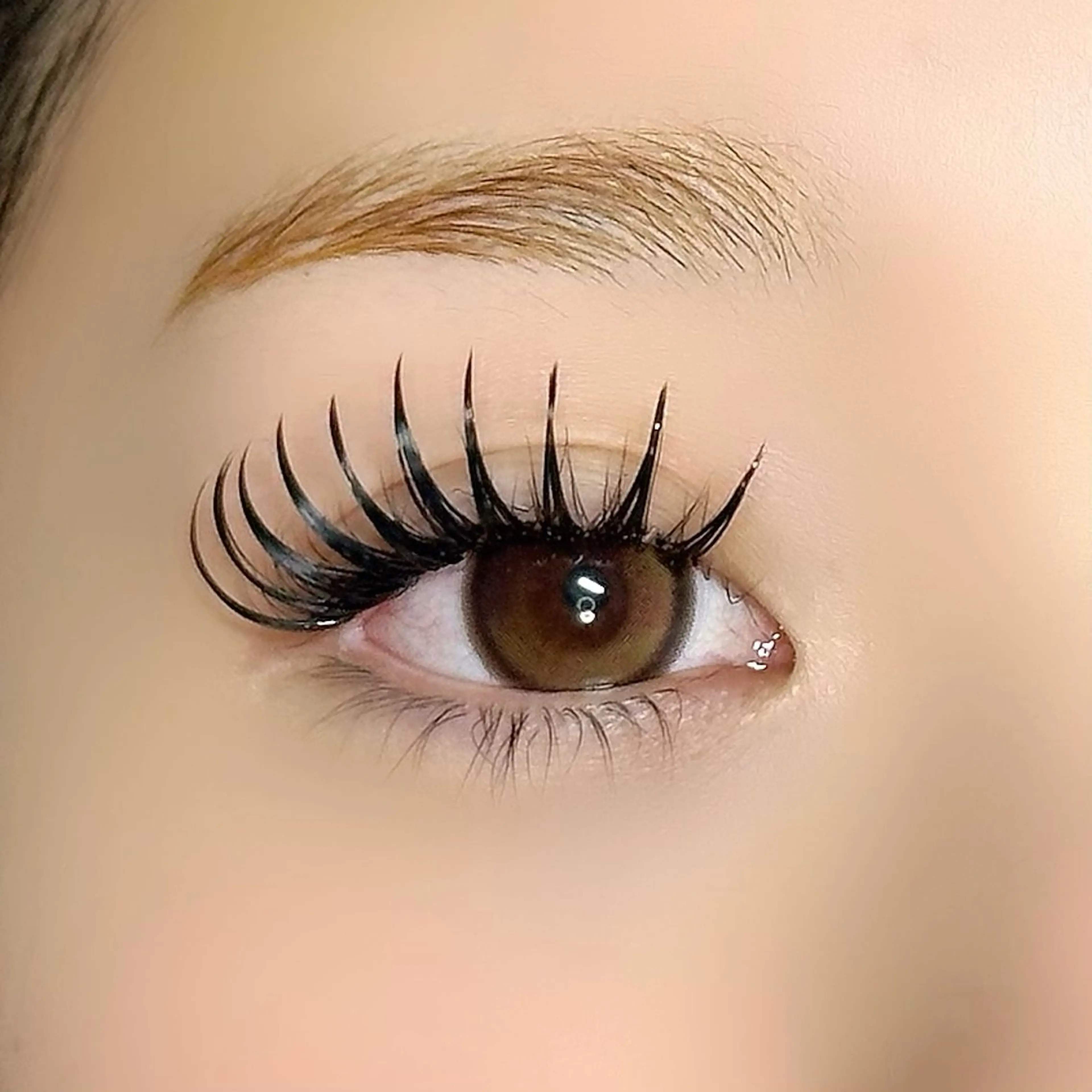 マツエク・マツパ マツエク ぷりゅねる心斎橋 /LED専門店のマツエク・マツパデザイン