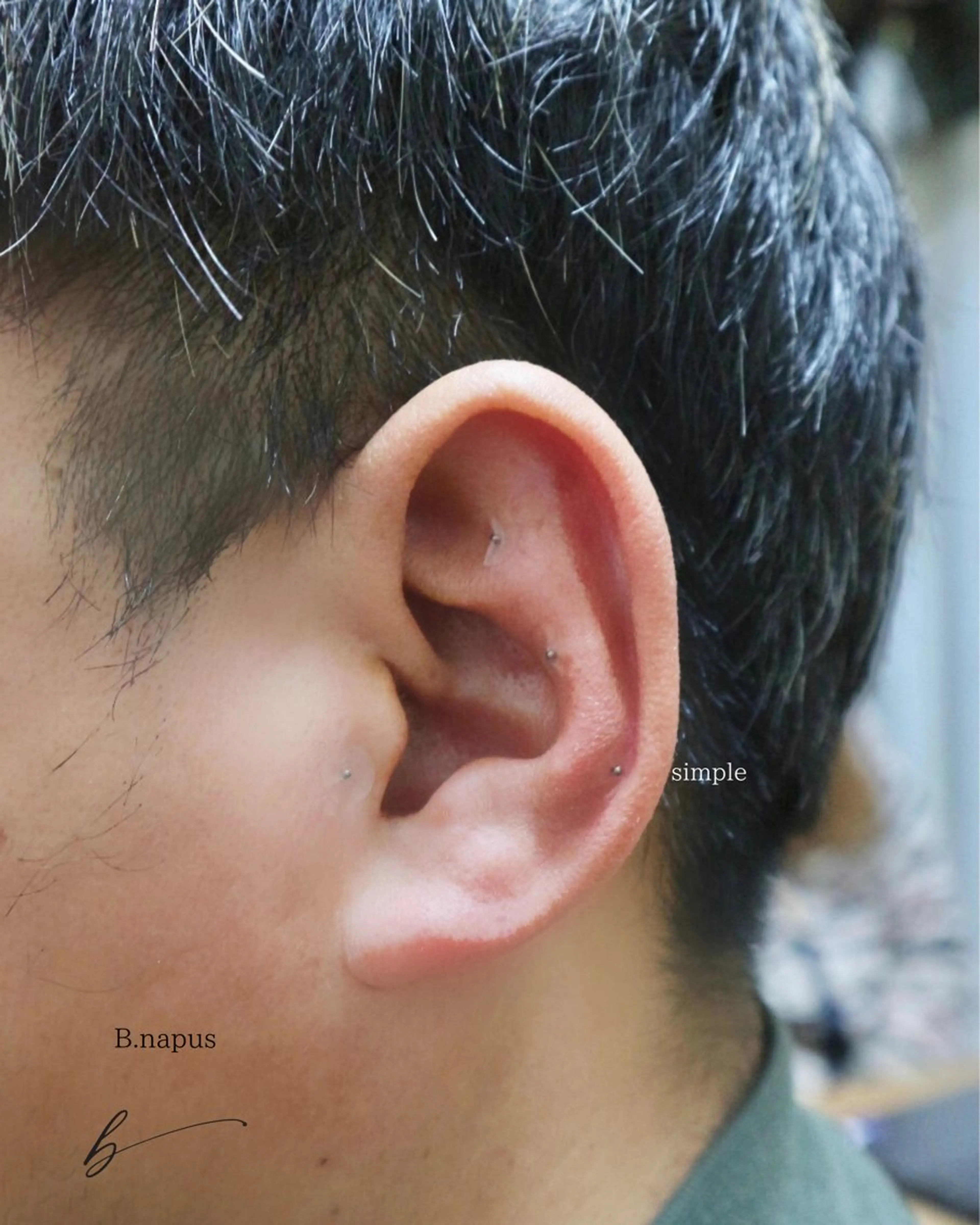 B.napus Nanohaのその他イメージ