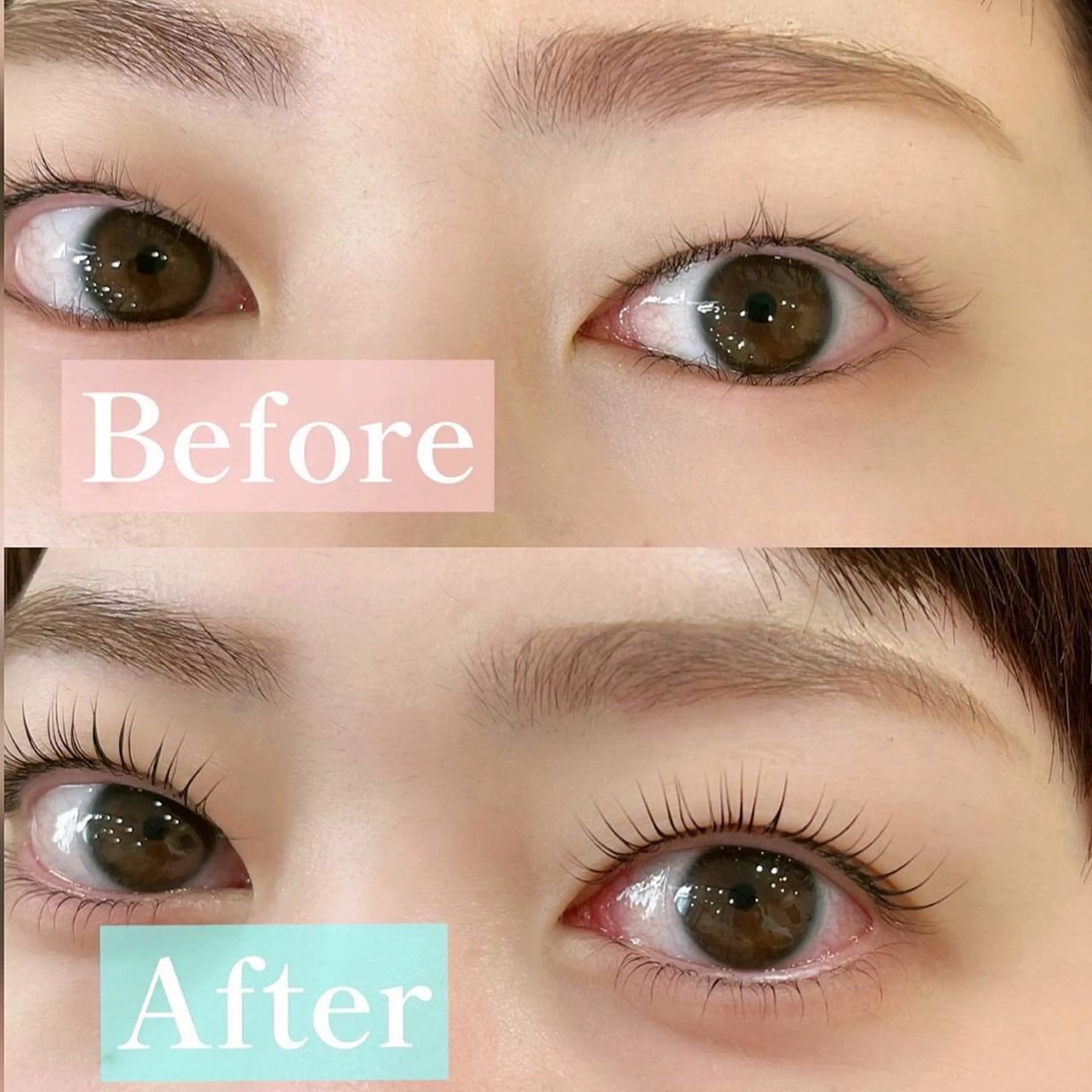 マツエク・マツパ フラットラッシュ パリジェンヌラッシュリフト まつげパーマ 下まつげエクステ 一重×まつ毛パーマ マツパ Riho/博多/ まつげパーマ/LEDのマツエク・マツパデザイン