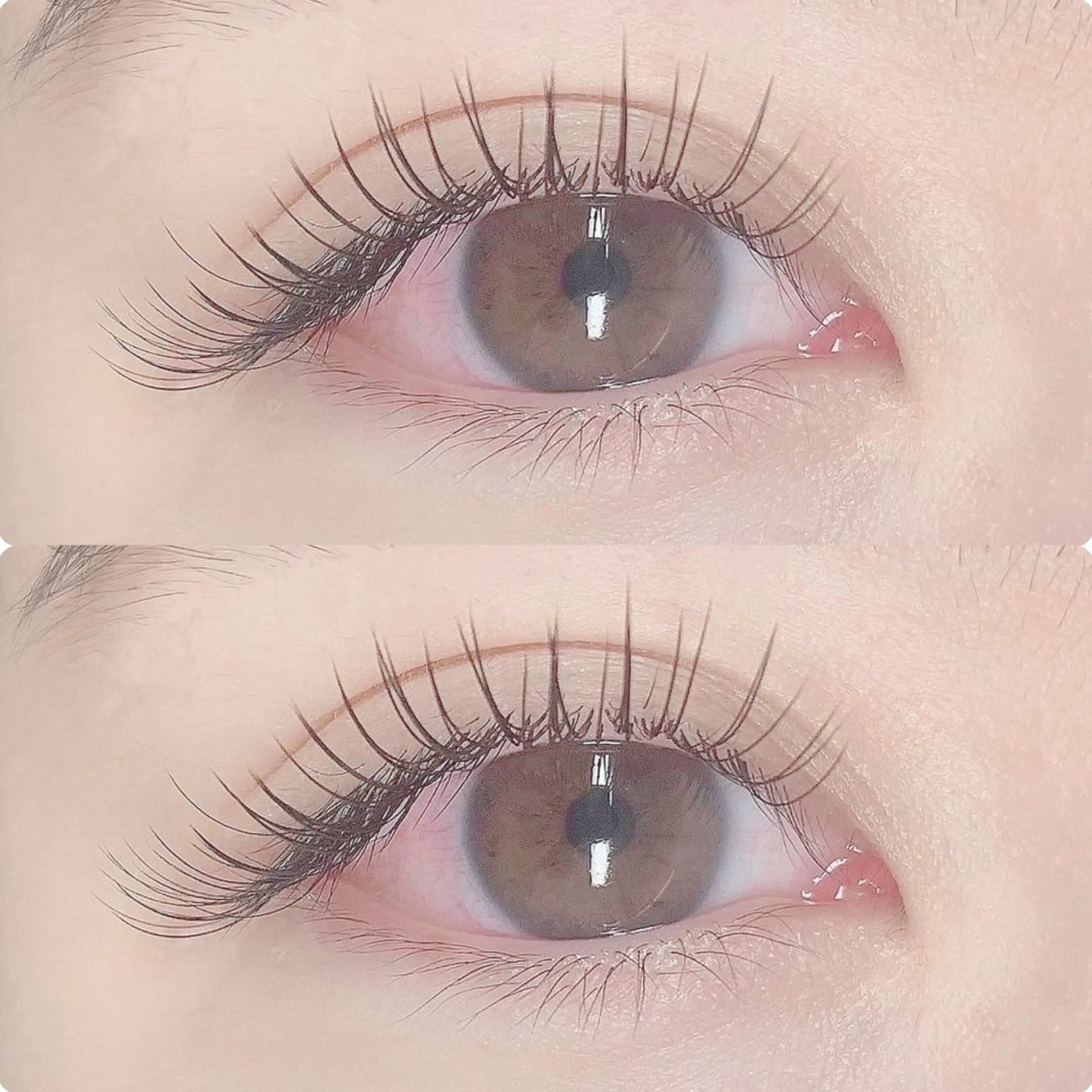 【‎🫧マツエク100本🫧】ミンク4400円/セーブル4950円/フラット6050円《コーティング仕上げサービス》の写真