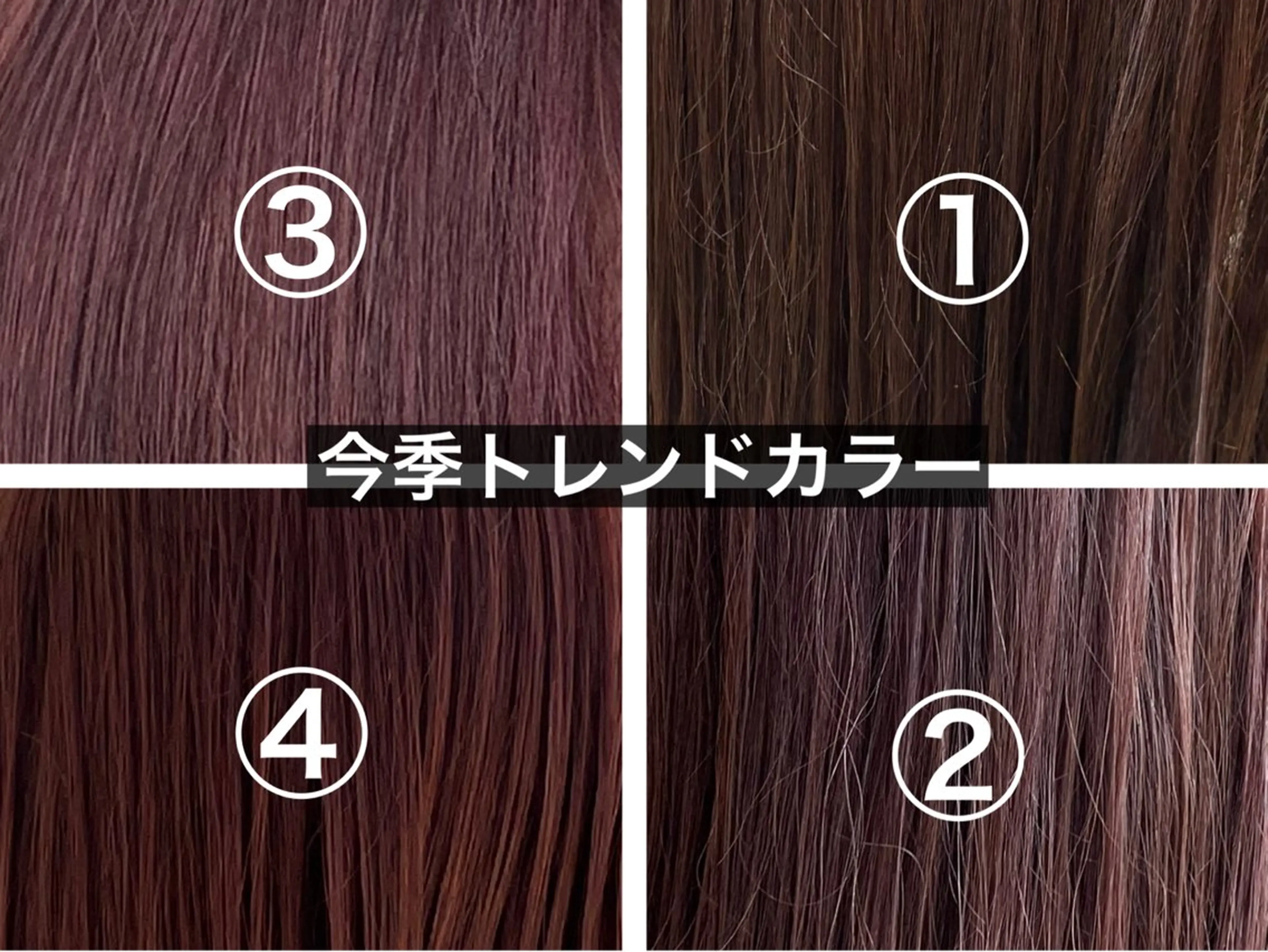 カラー ブリーチ ブリーチなしカラー カット ヘアカラー ボブ/ミディアム 親しみやすさ/さくらのヘアスタイル