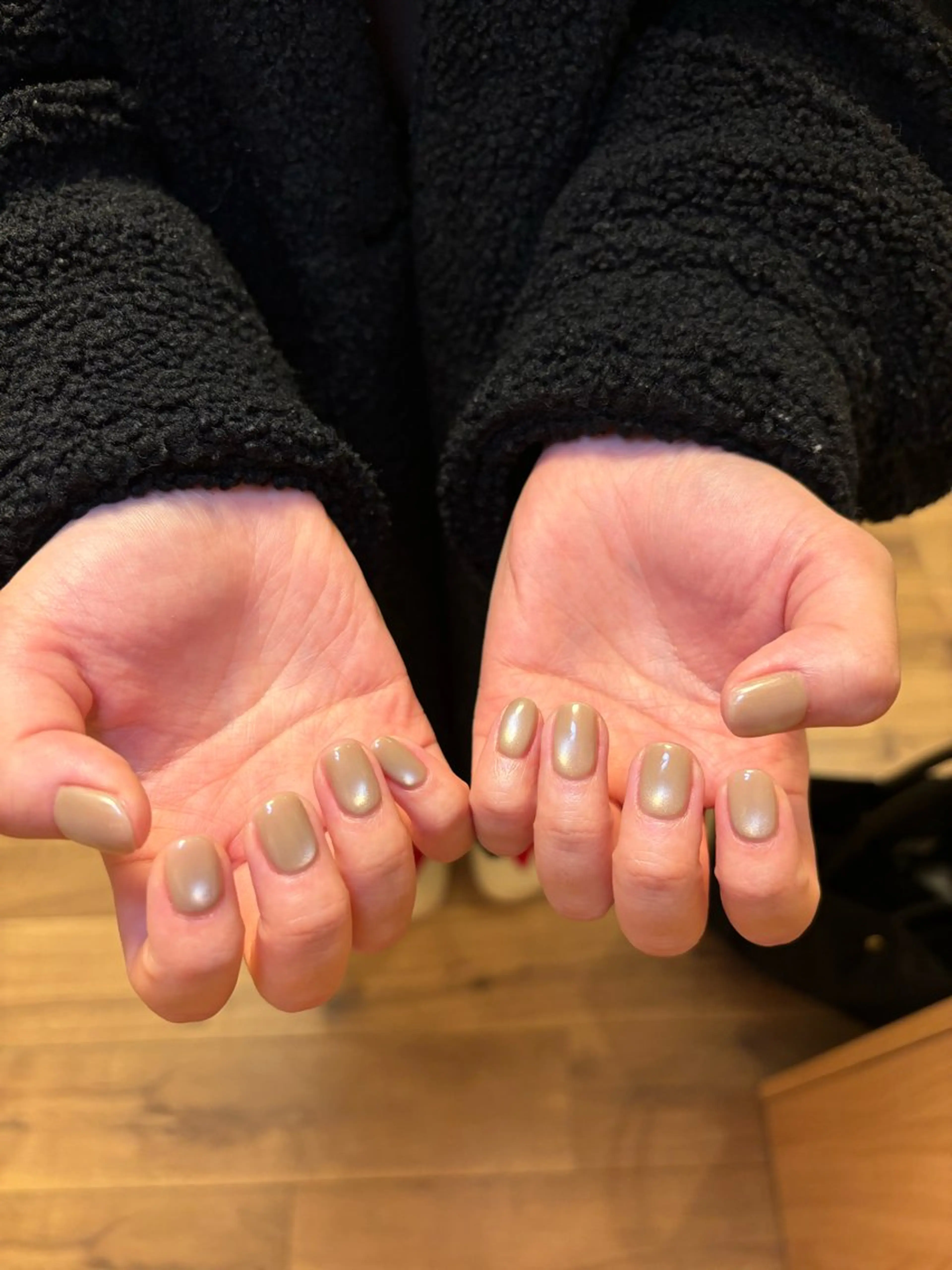 ネイル マグネットネイル マグネットワンカラー ワンカラーネイル 京 美人のネイルデザイン