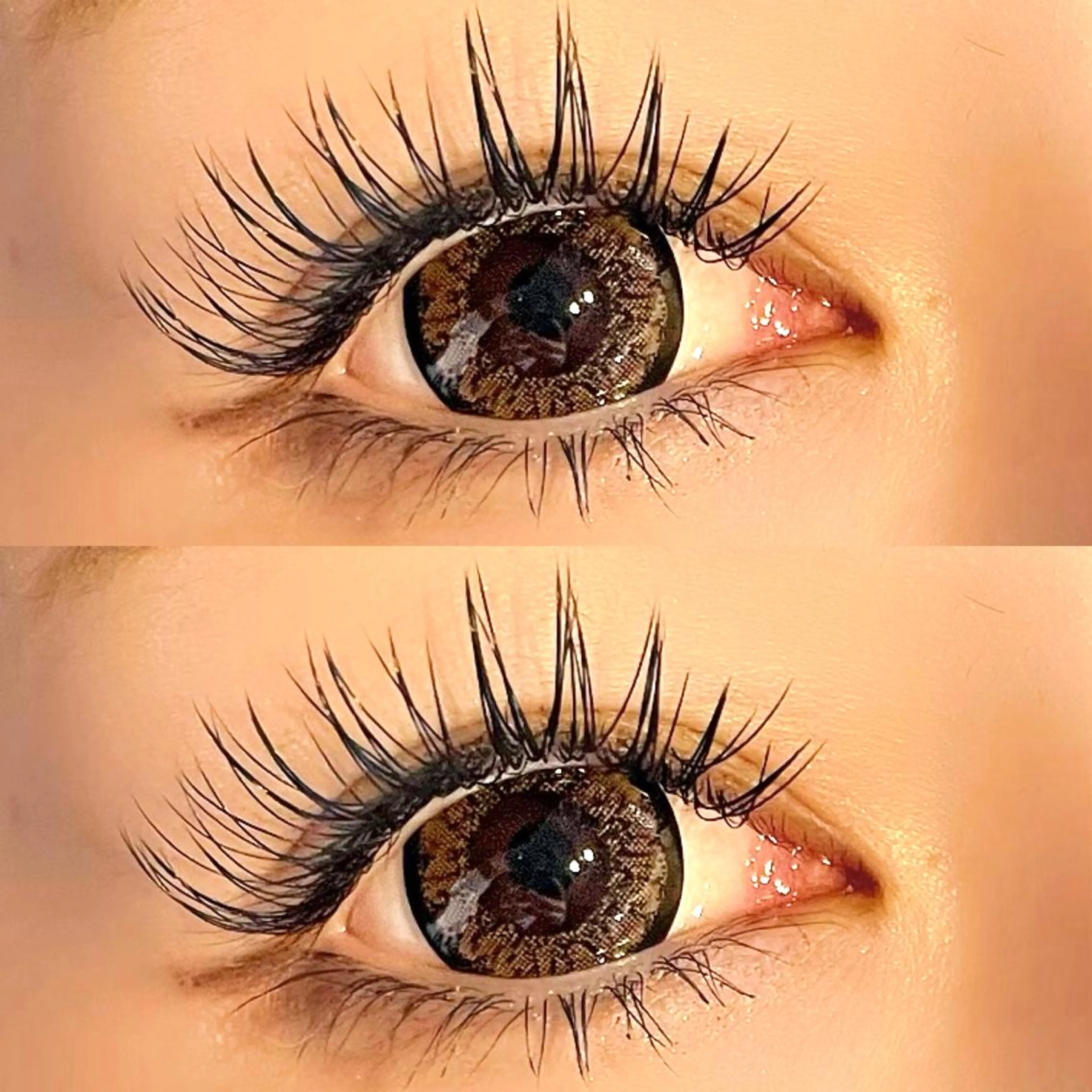 フラットラッシュ【140本】🌷の写真