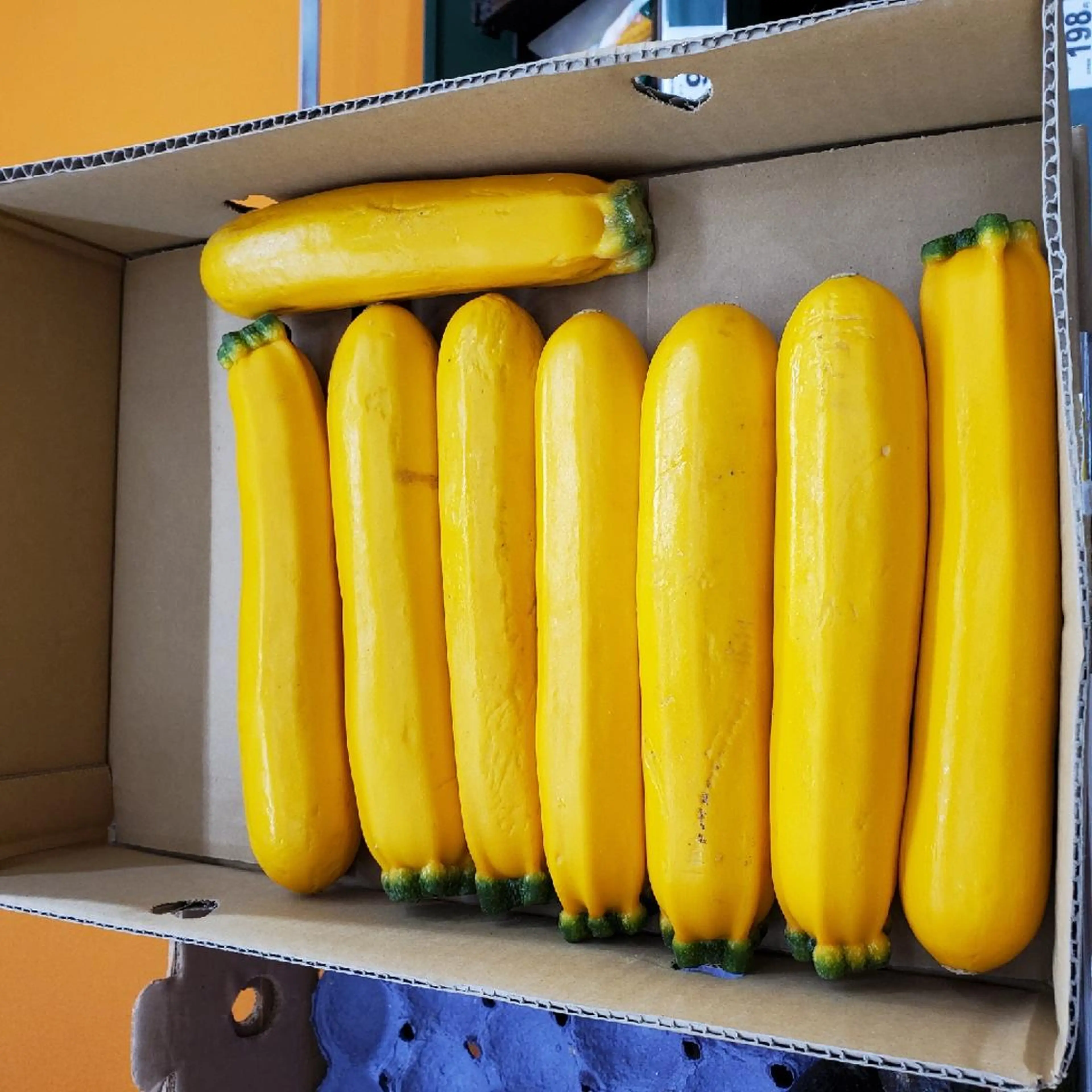 谷 結奈のヘアスタイル