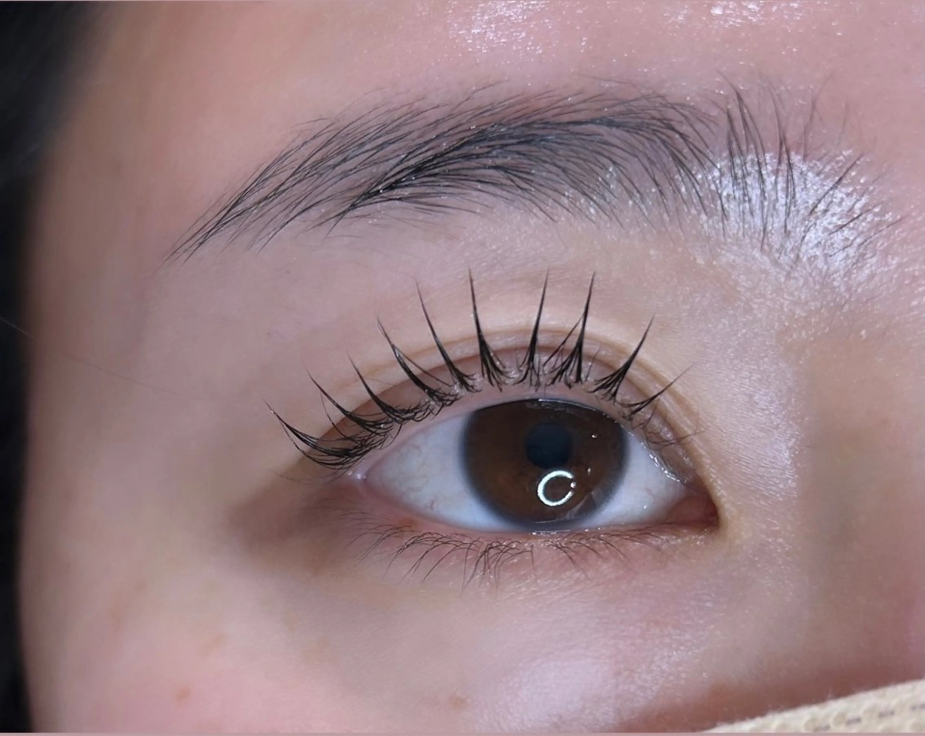 学割）🌙ラッシュリフトorパリジェン〘 選べるコーティング付〙の写真