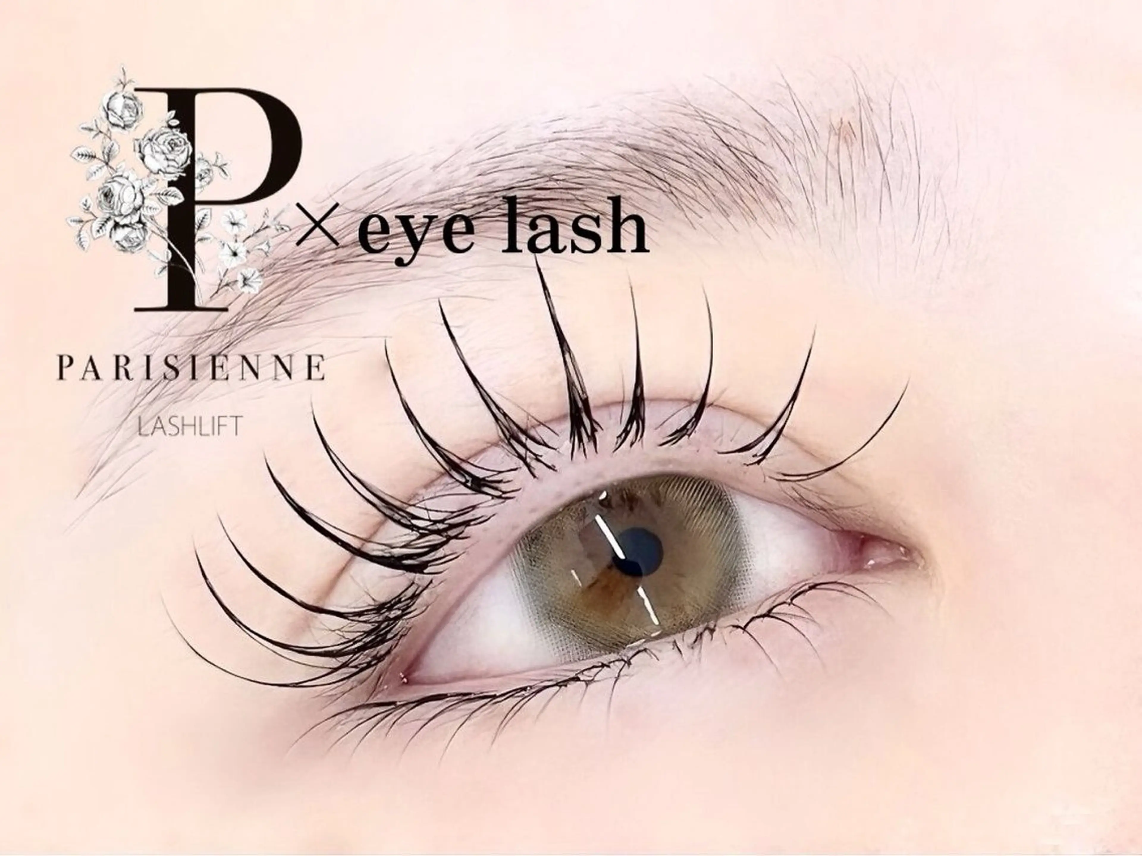 マツエク・マツパ 束感まつ毛 Cカール キュート フラットラッシュ 韓国風マツエク まほろ/ 天王寺🎀🫧のマツエク・マツパデザイン