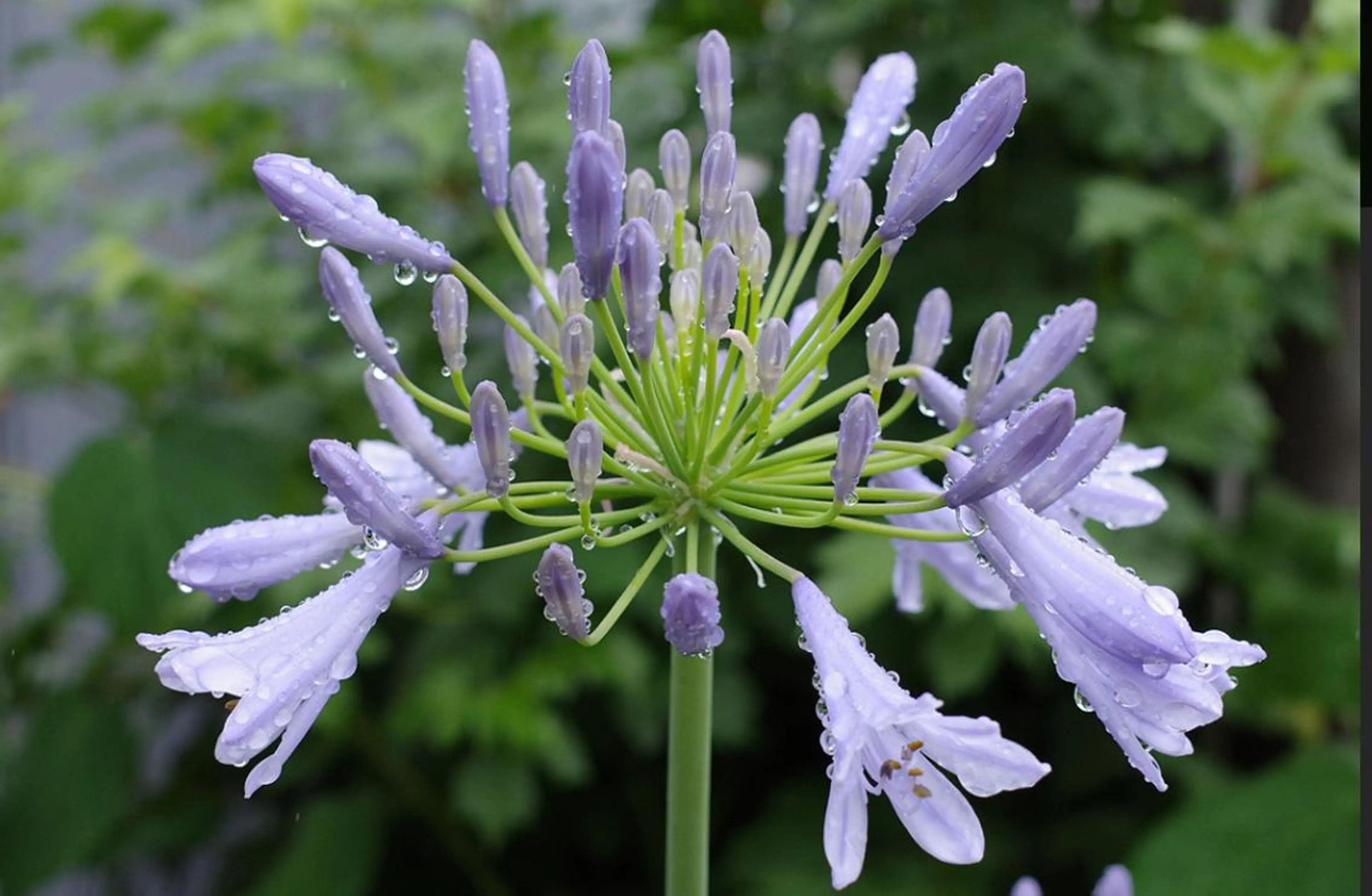 プライベートサロン 花水月のエステ・リラクイメージ