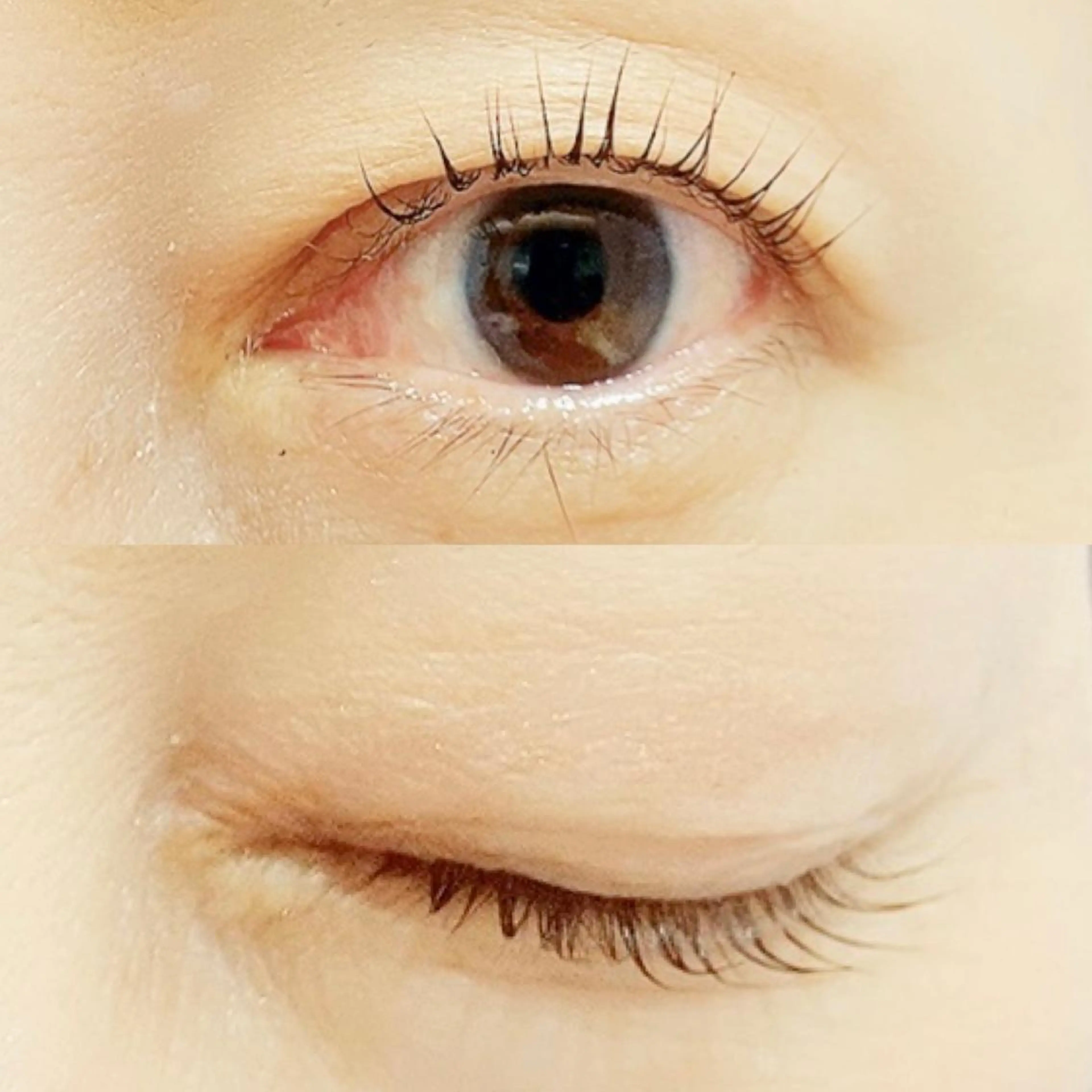 マツエク・マツパ パリジェンヌラッシュリフト ✧elpatio✧︎ 小出紗羅のマツエク・マツパデザイン