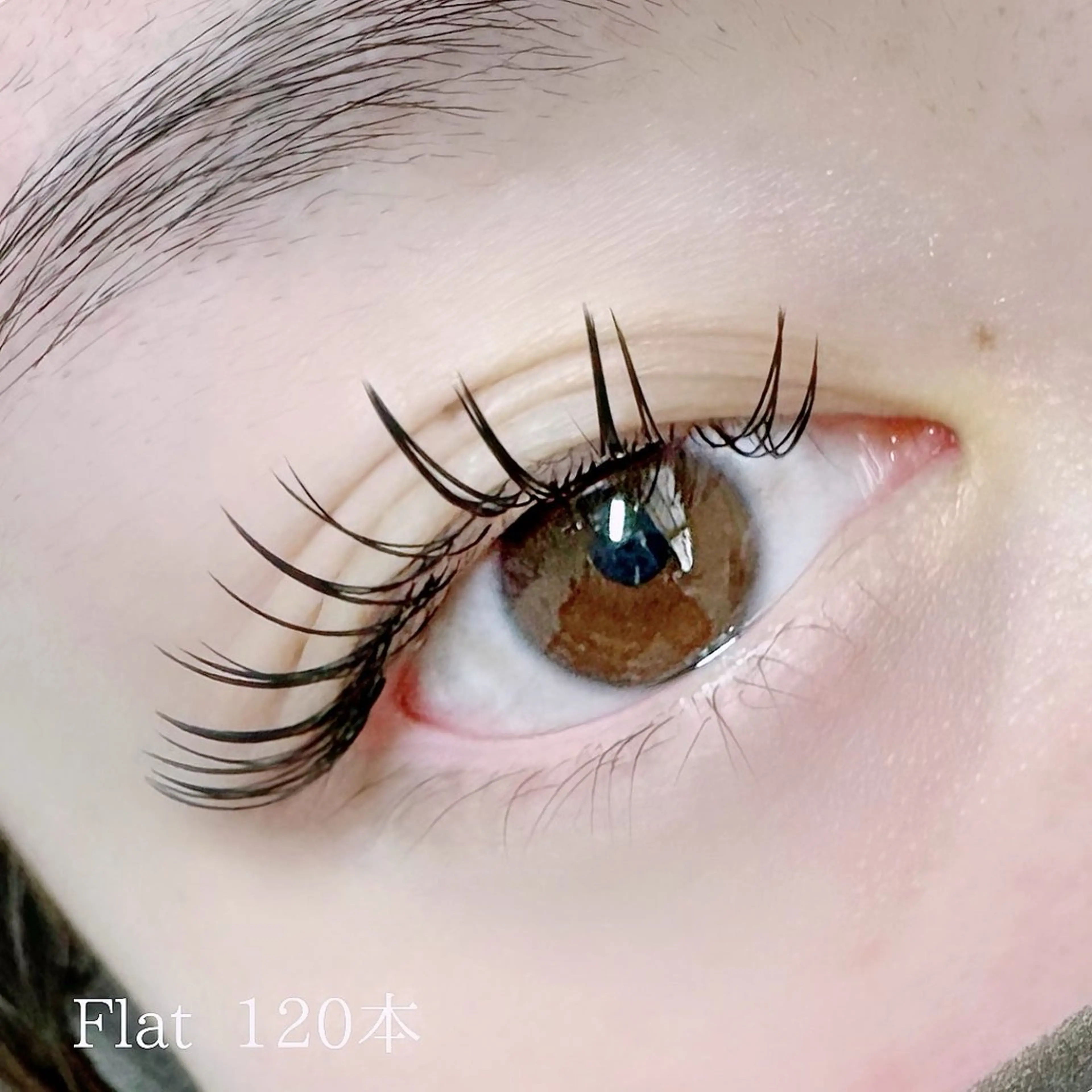 フラットラッシュ120本の写真