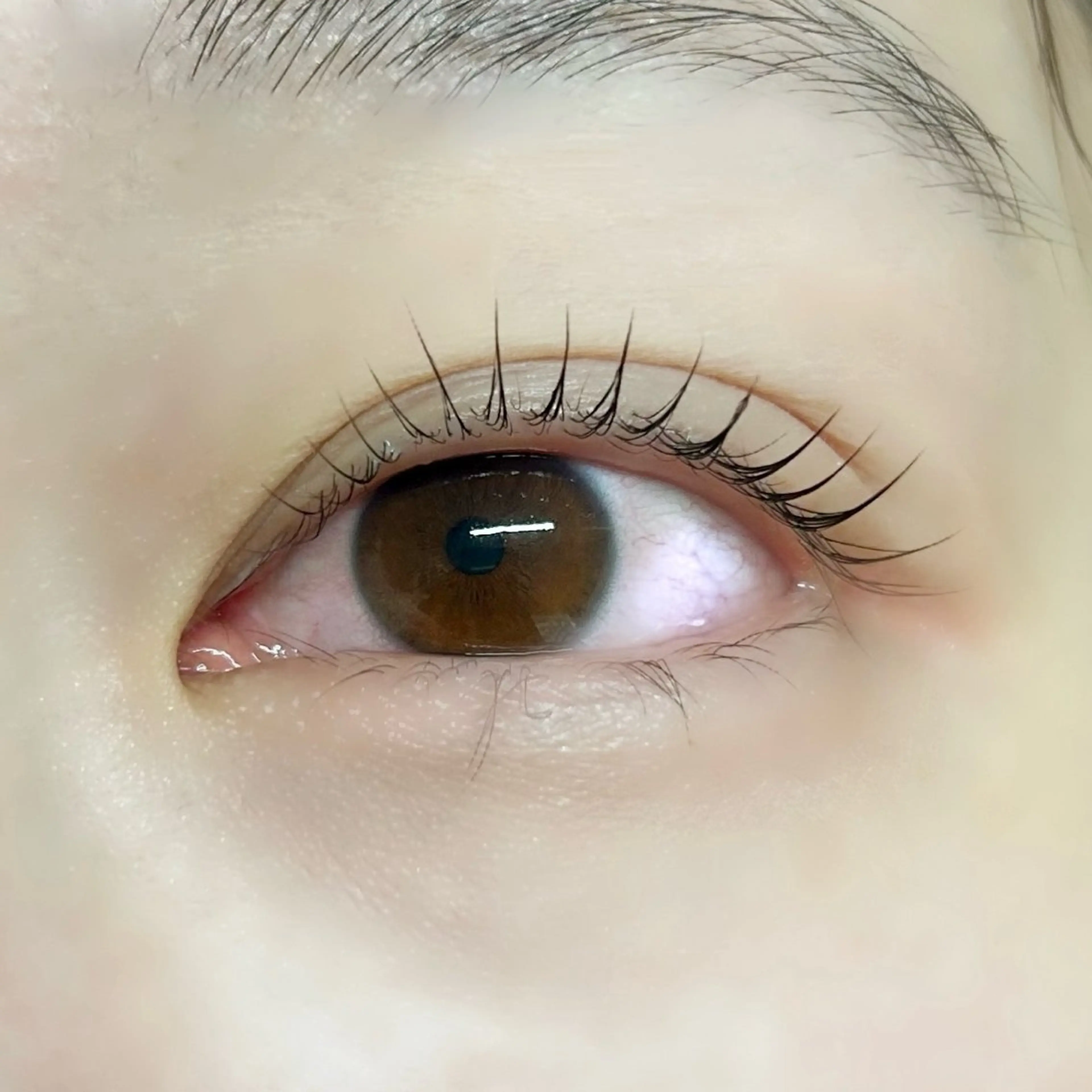 マツエク・マツパ マツパ ‪✿ fleur coco ‪✿の眉毛・アイブロウイメージ