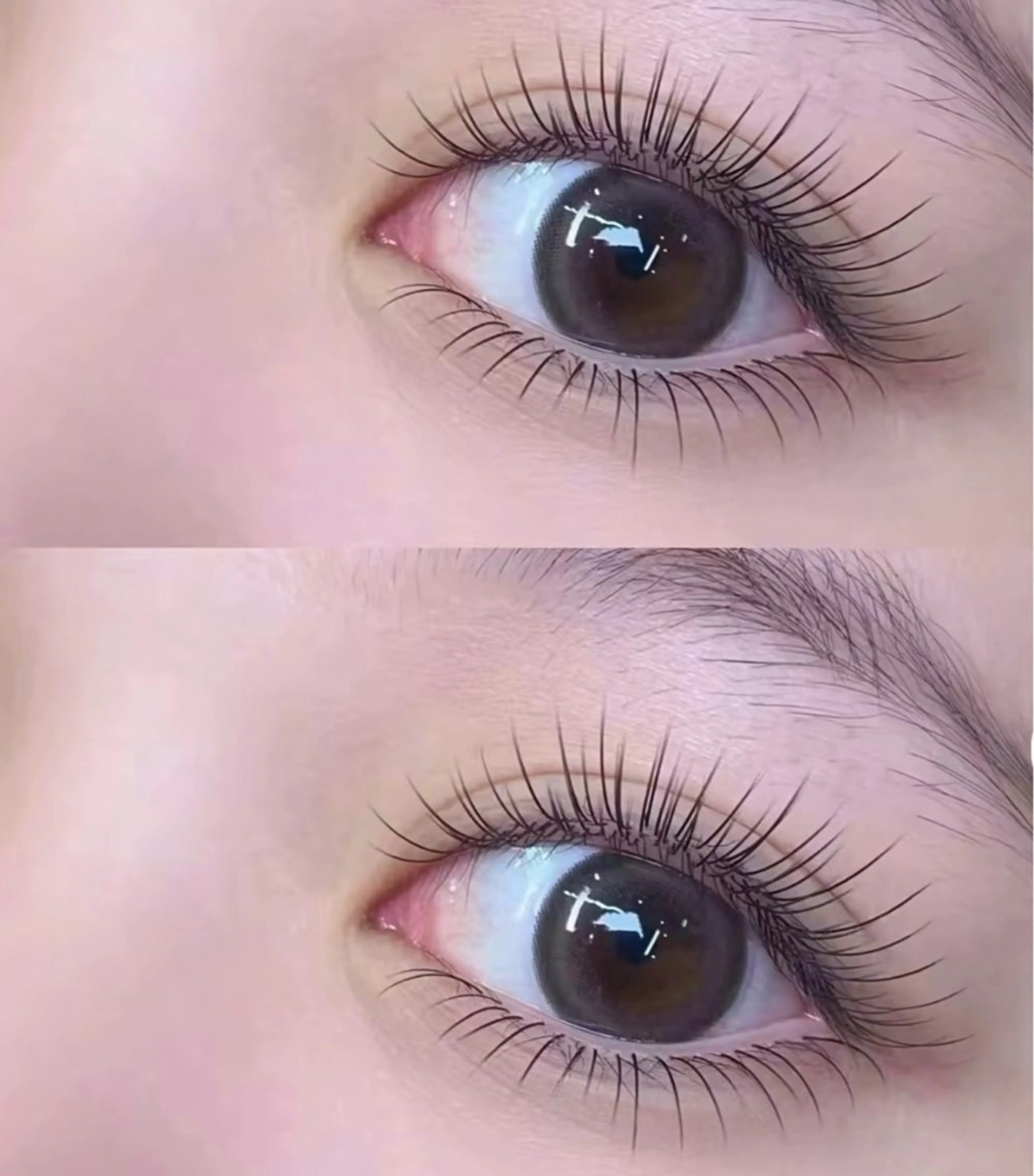 フラットラッシュ100本4990円/120本5990円/150本6990円の写真