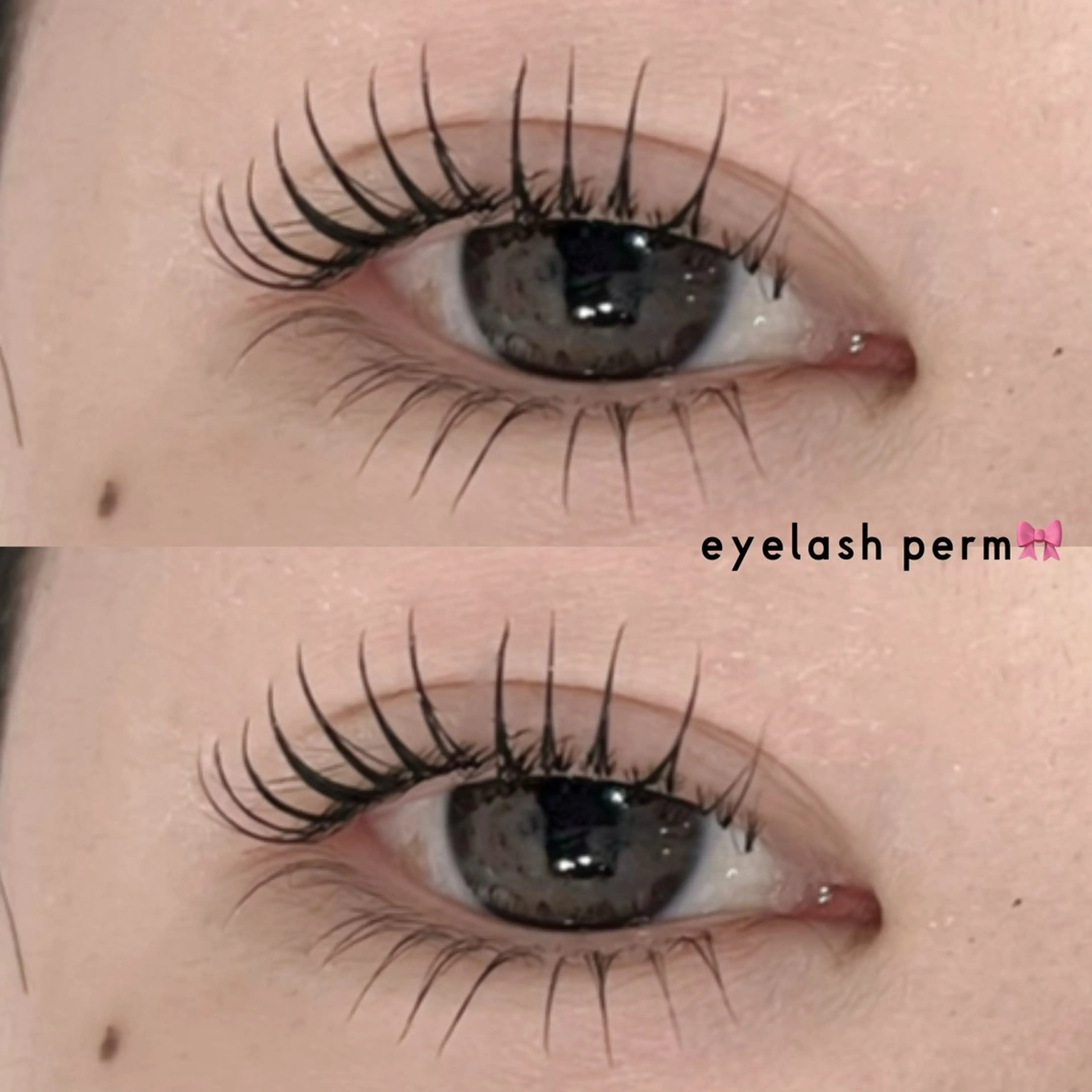 ⭐️上下まつげパーマ⭐️の写真