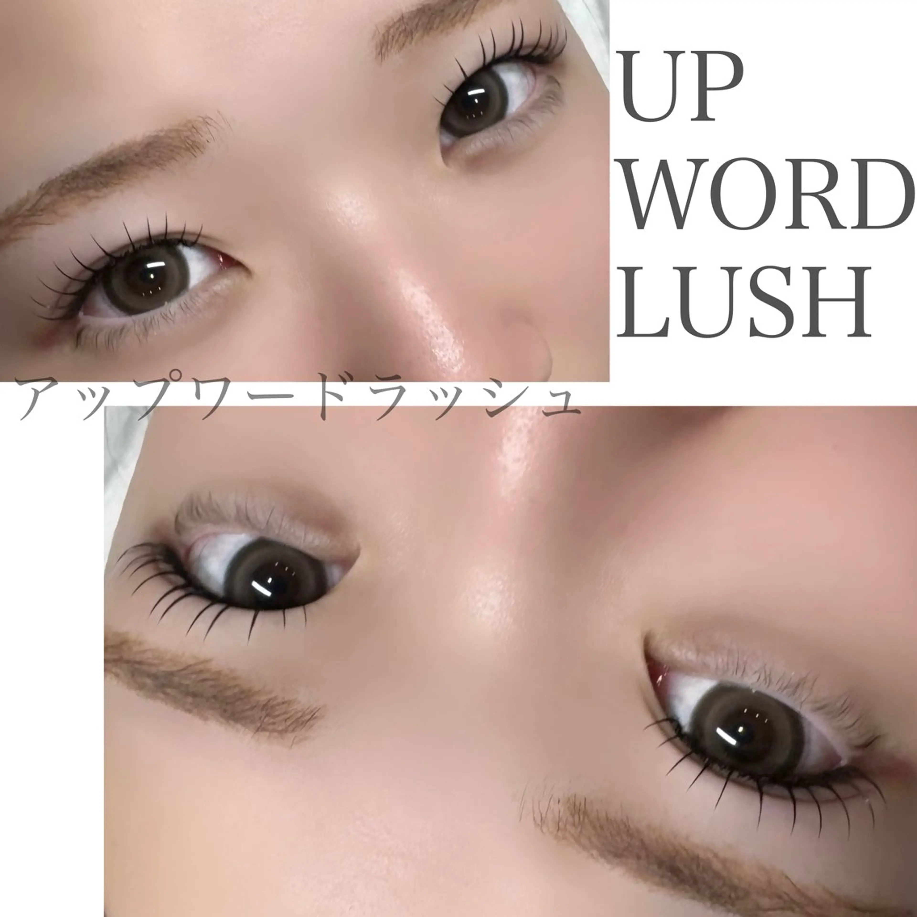 マツエク・マツパ アップワードラッシュ Diasalon 諸泉の眉毛・アイブロウイメージ