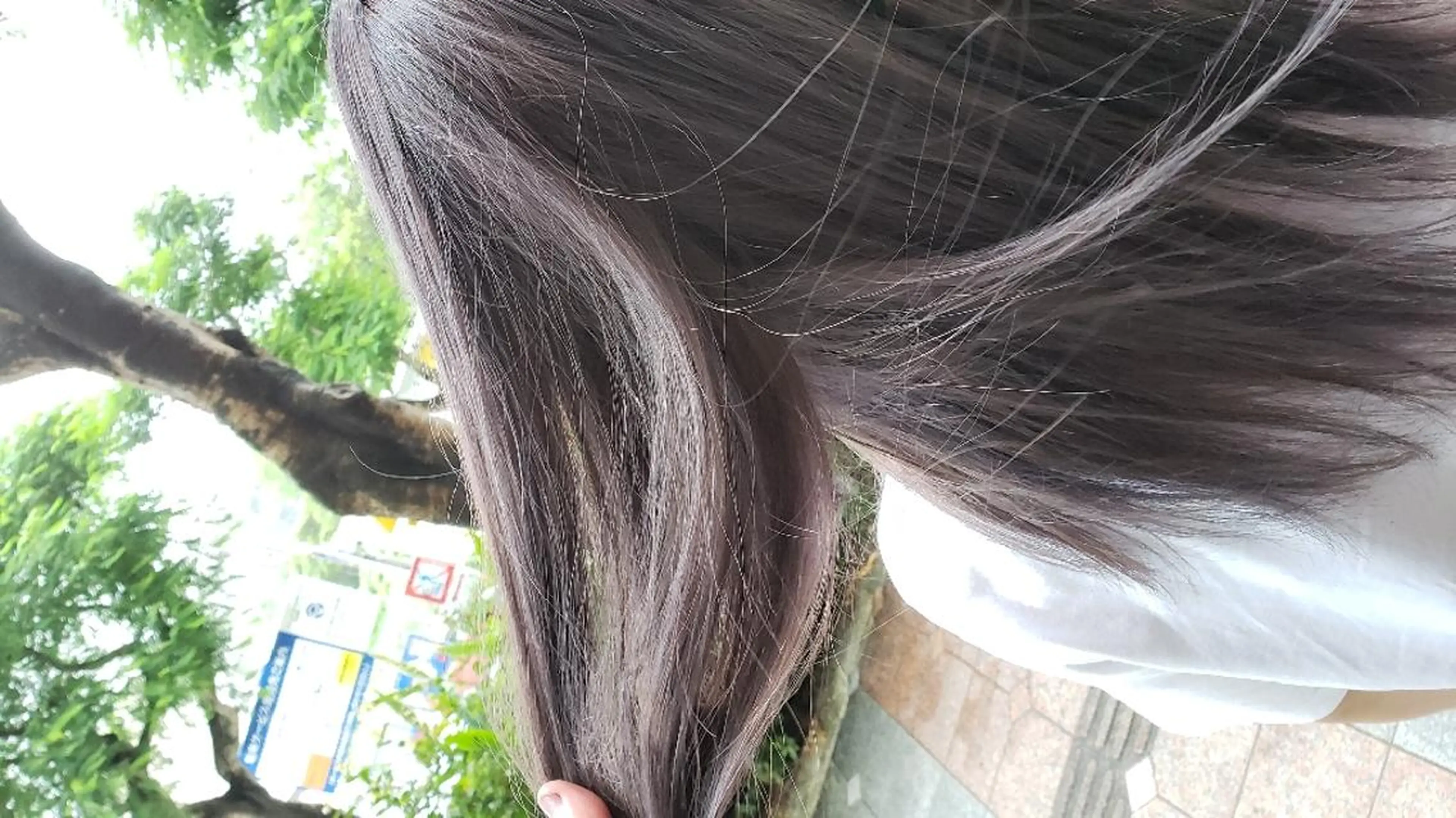 ロング 饒平名 知也のヘアスタイル