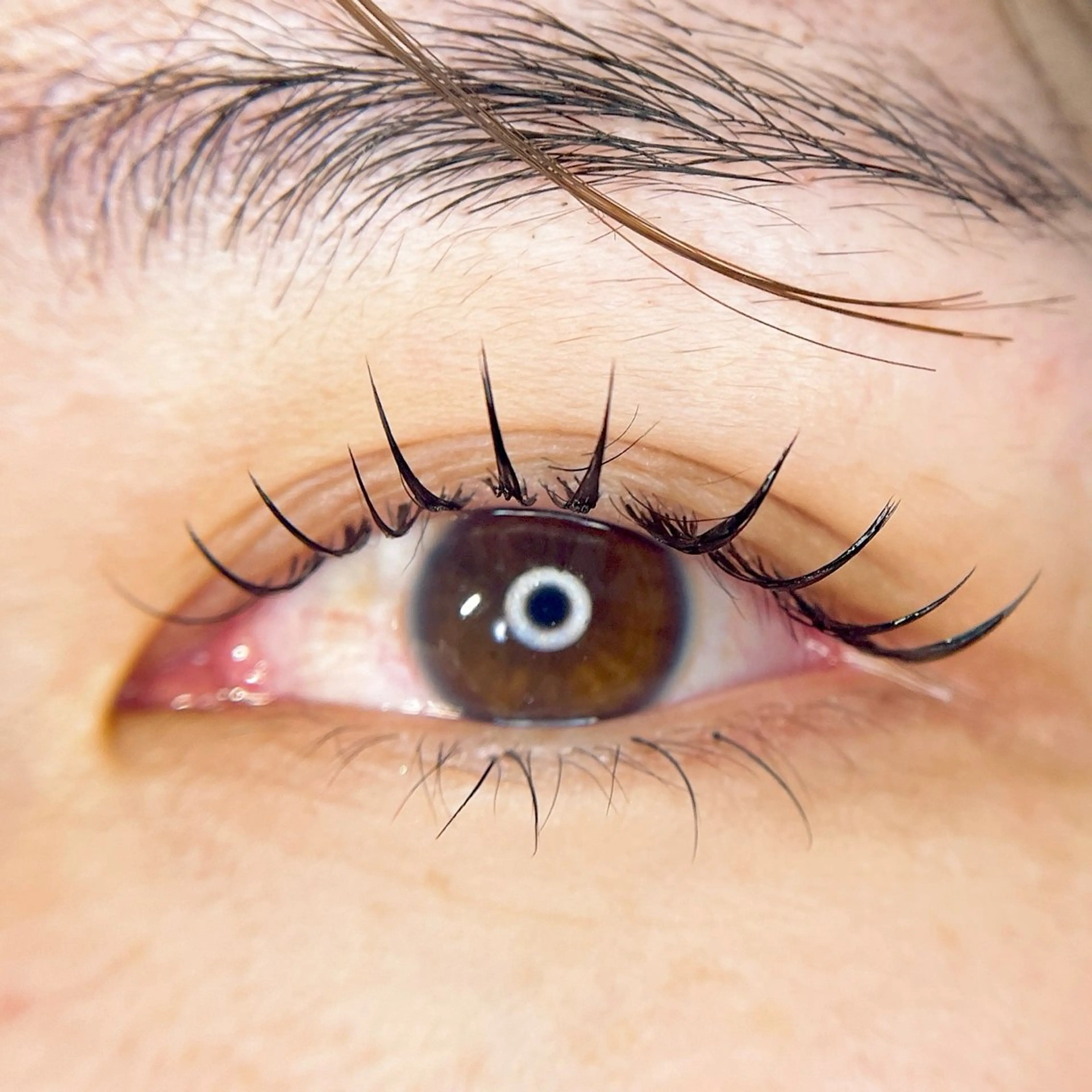 マツエク・マツパ マツエク MARL eyelash大川のマツエク・マツパデザイン