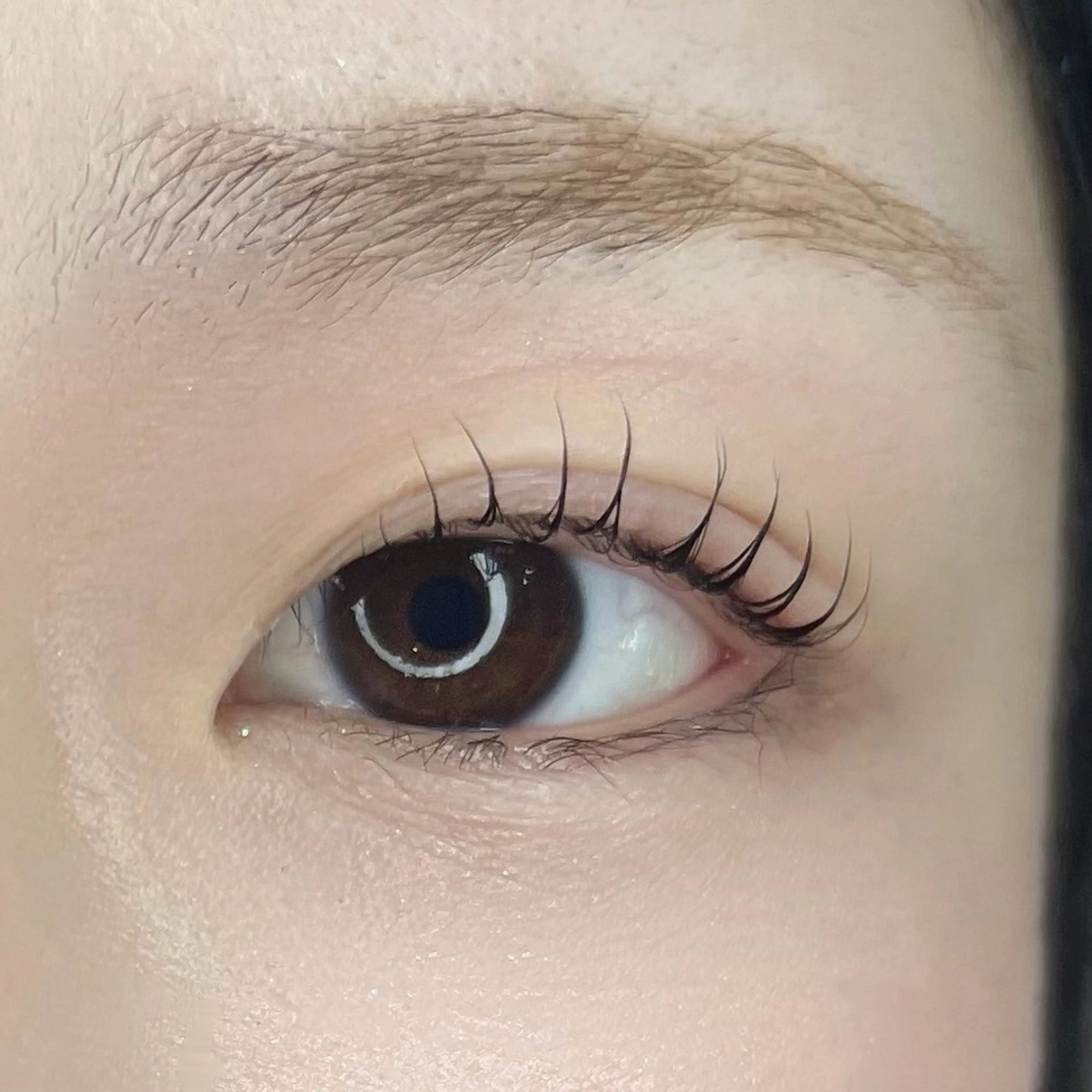 マツエク・マツパ CALM所属・CALM ayakaのマツエク・マツパデザイン