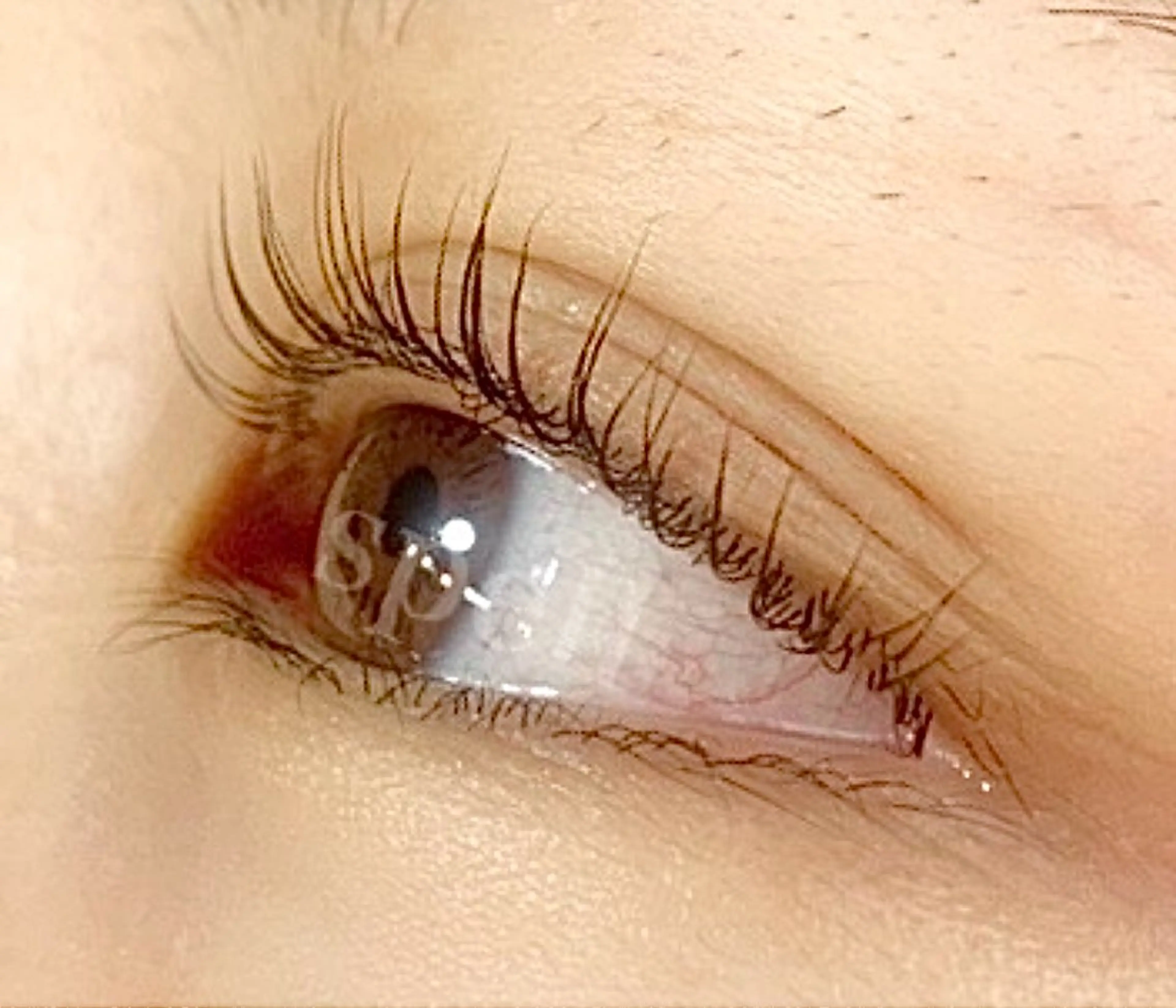 マツエク・マツパ spell eyelashのマツエク・マツパデザイン