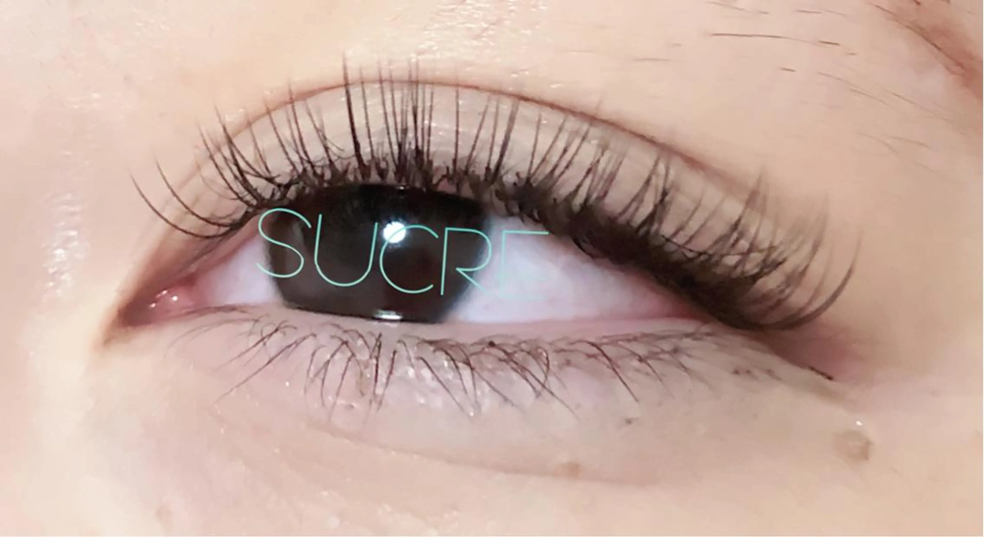 マツエク・マツパ Dカール Liz.&現ino 平田のマツエク・マツパデザイン