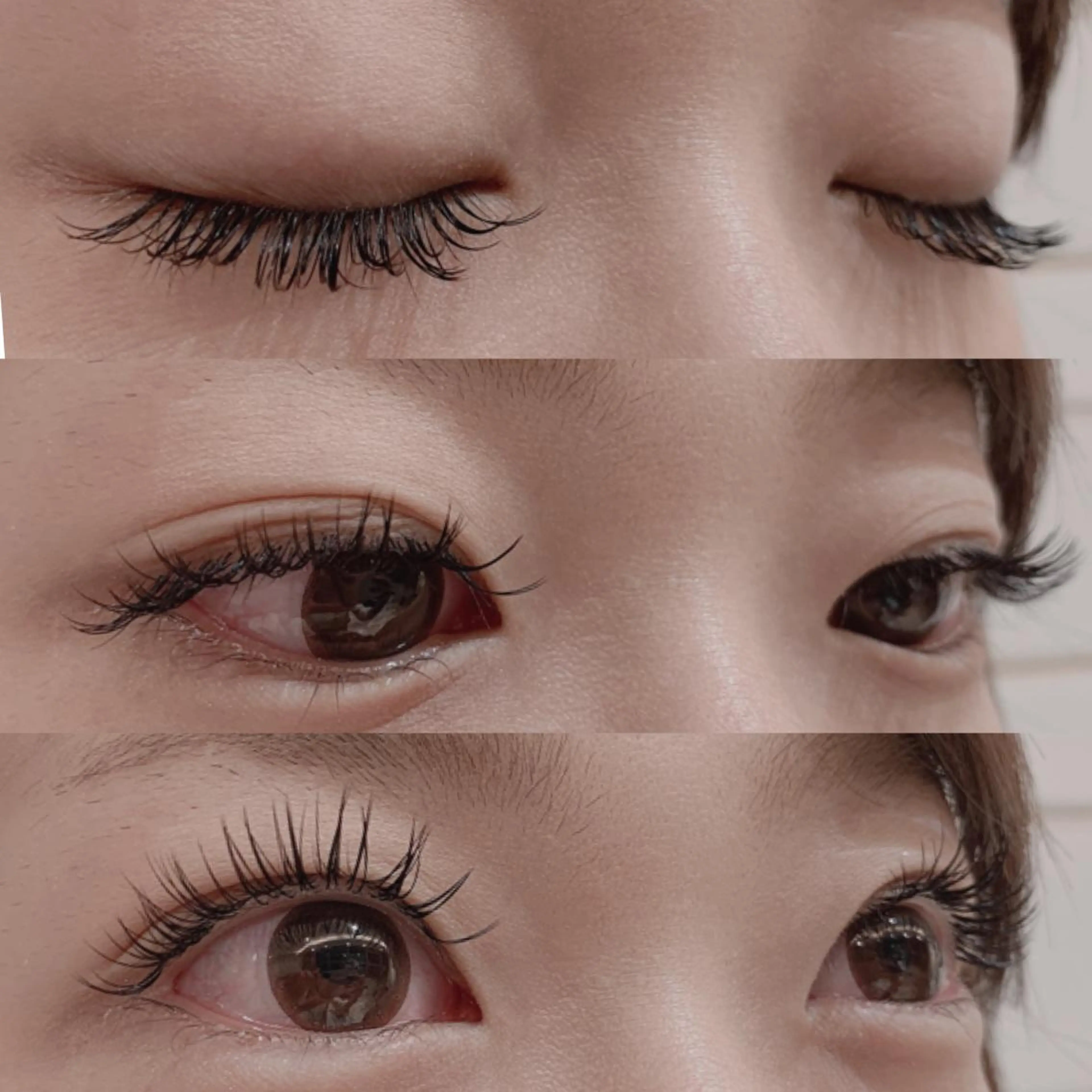 【マツエク】高級セーブルシングル100本🌼の写真