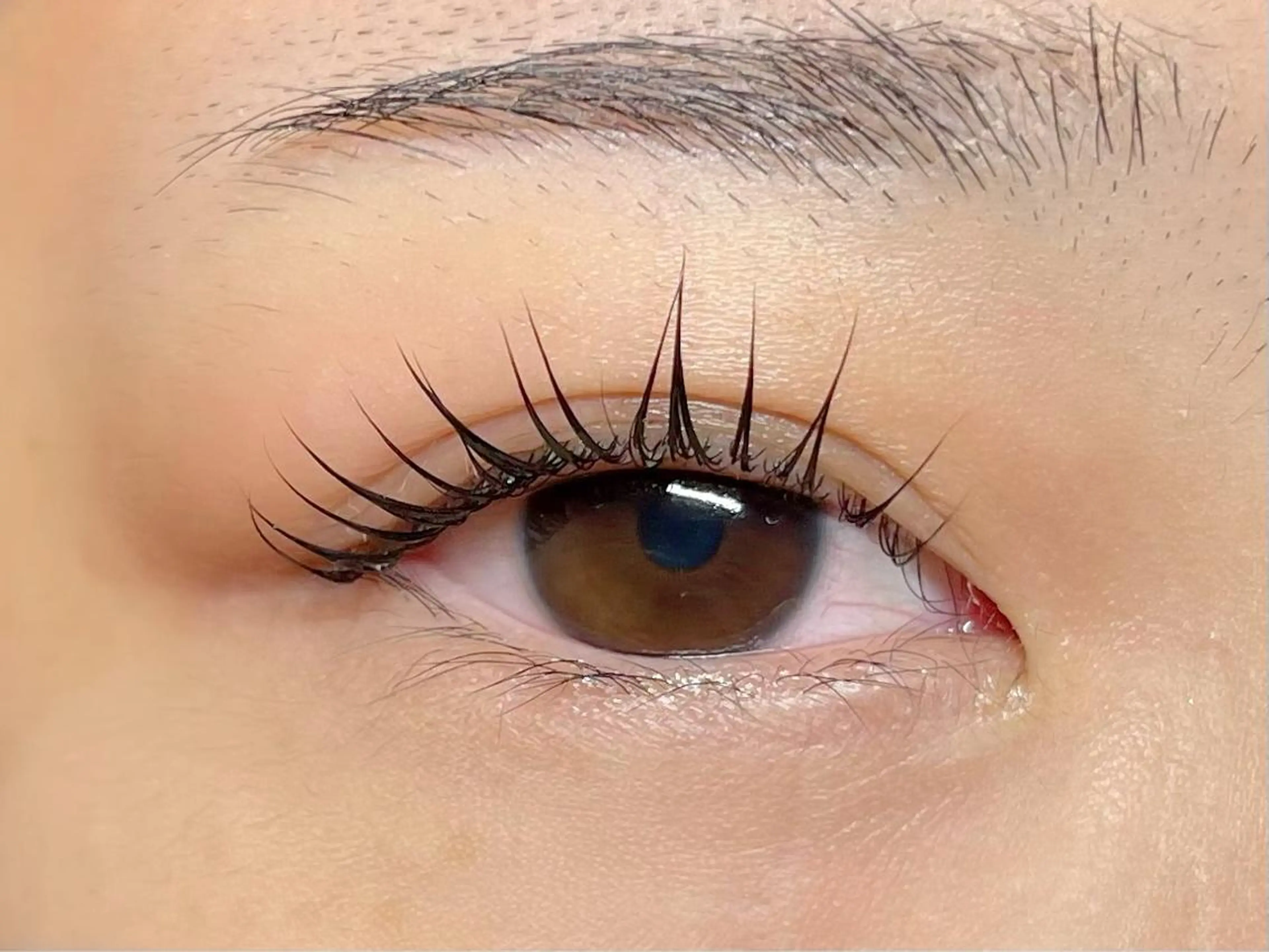 マツエク・マツパ マツパ mamAsIenne 寺尾のマツエク・マツパデザイン