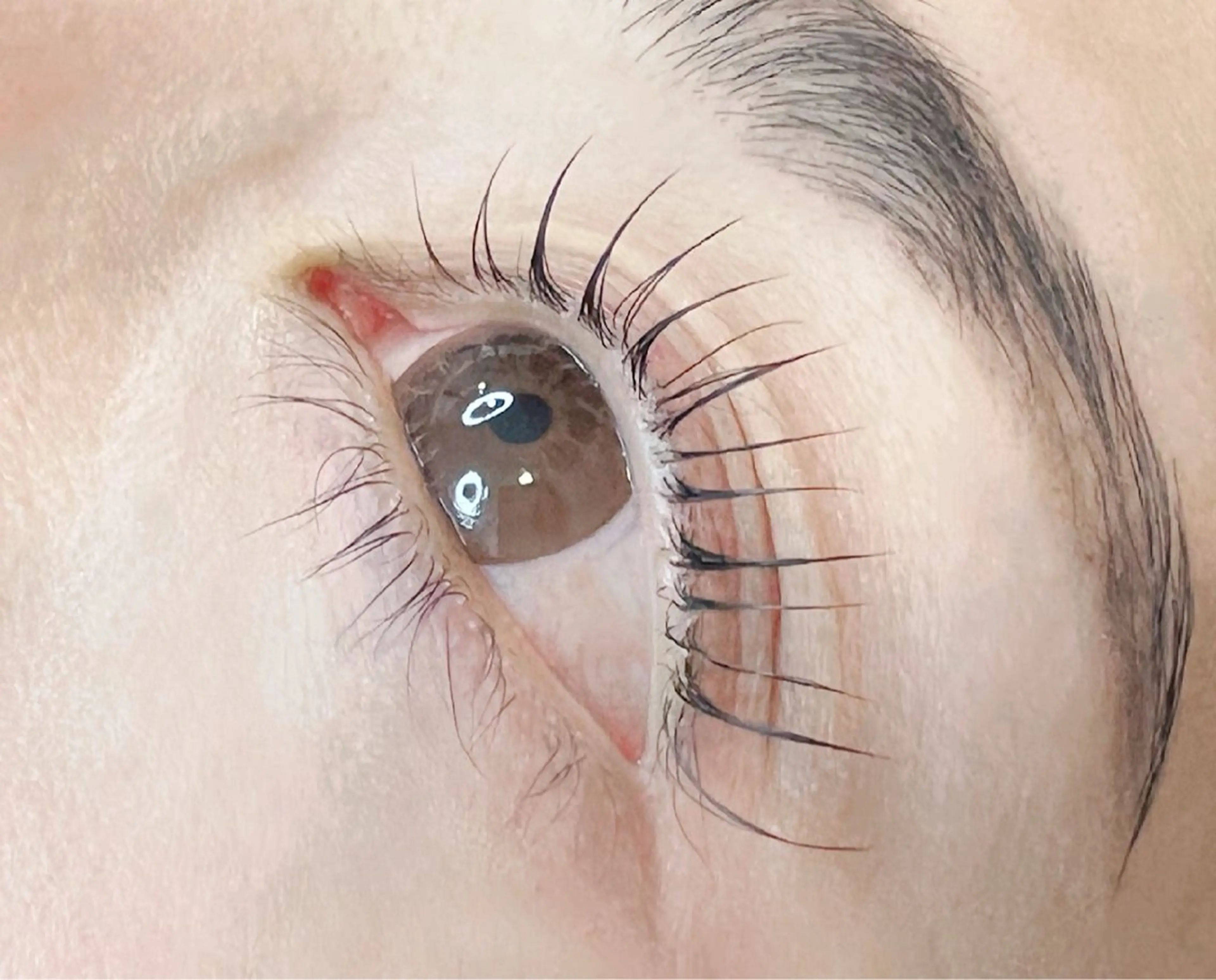 4月限定❗️下まつ毛パーマ🫧ケラチントリートメント付き✨の写真