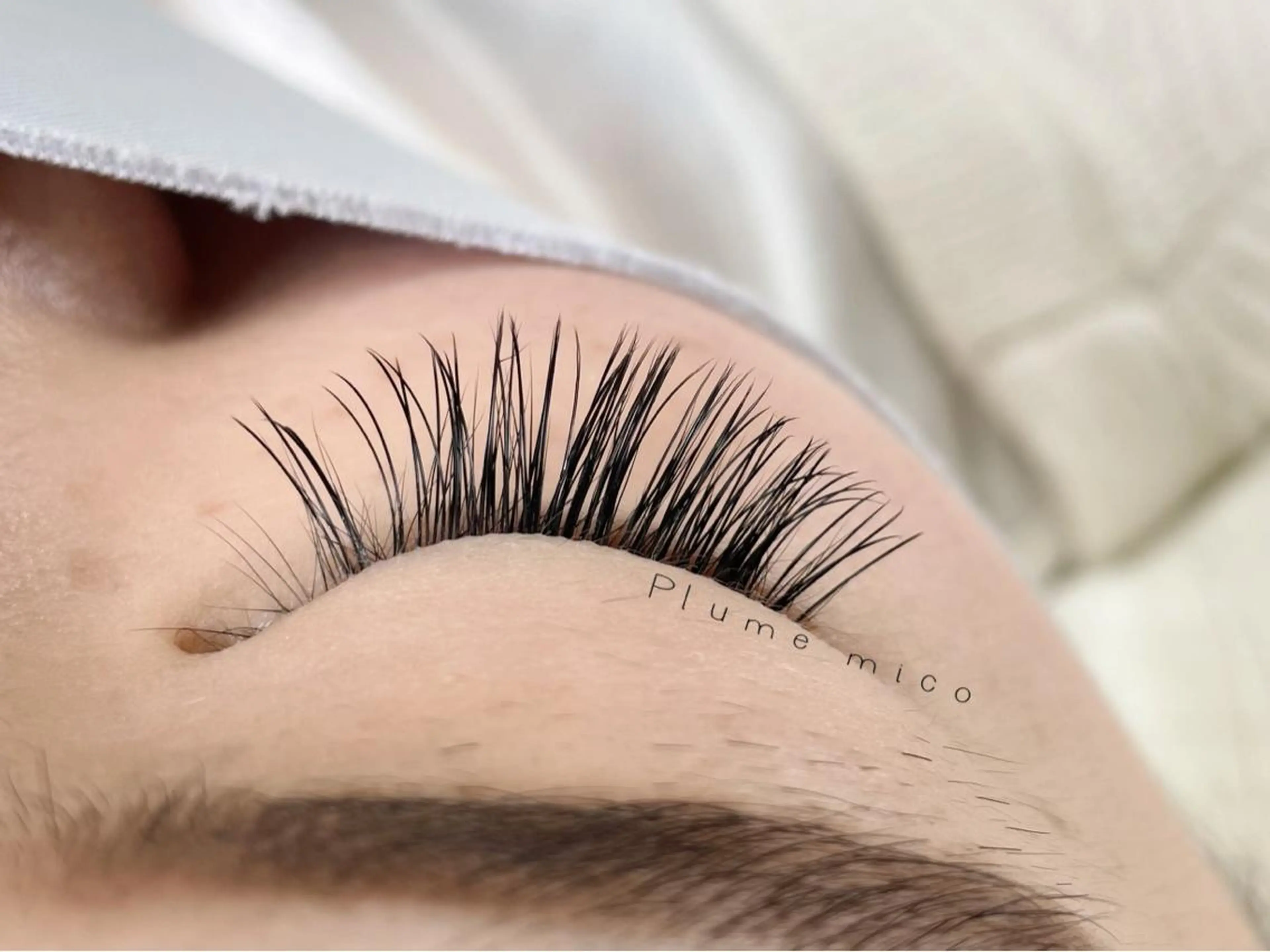 マツエク・マツパ マツエク Plume micoのマツエク・マツパデザイン