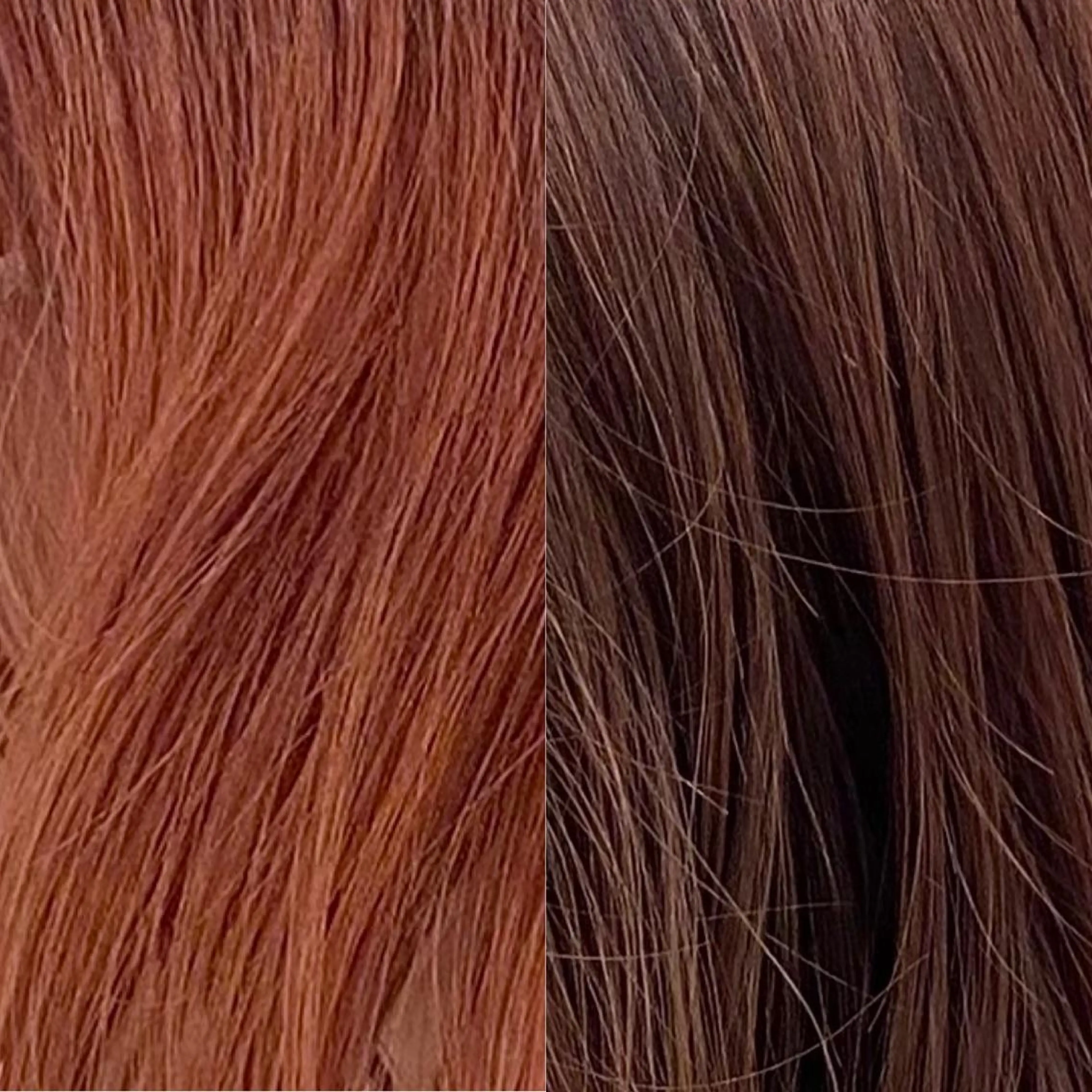 ミディアム カラー ブラウンカラー インナーカラー ピンクカラー カットモデル募集中 ✂️/平城秀馬/原宿のヘアスタイル