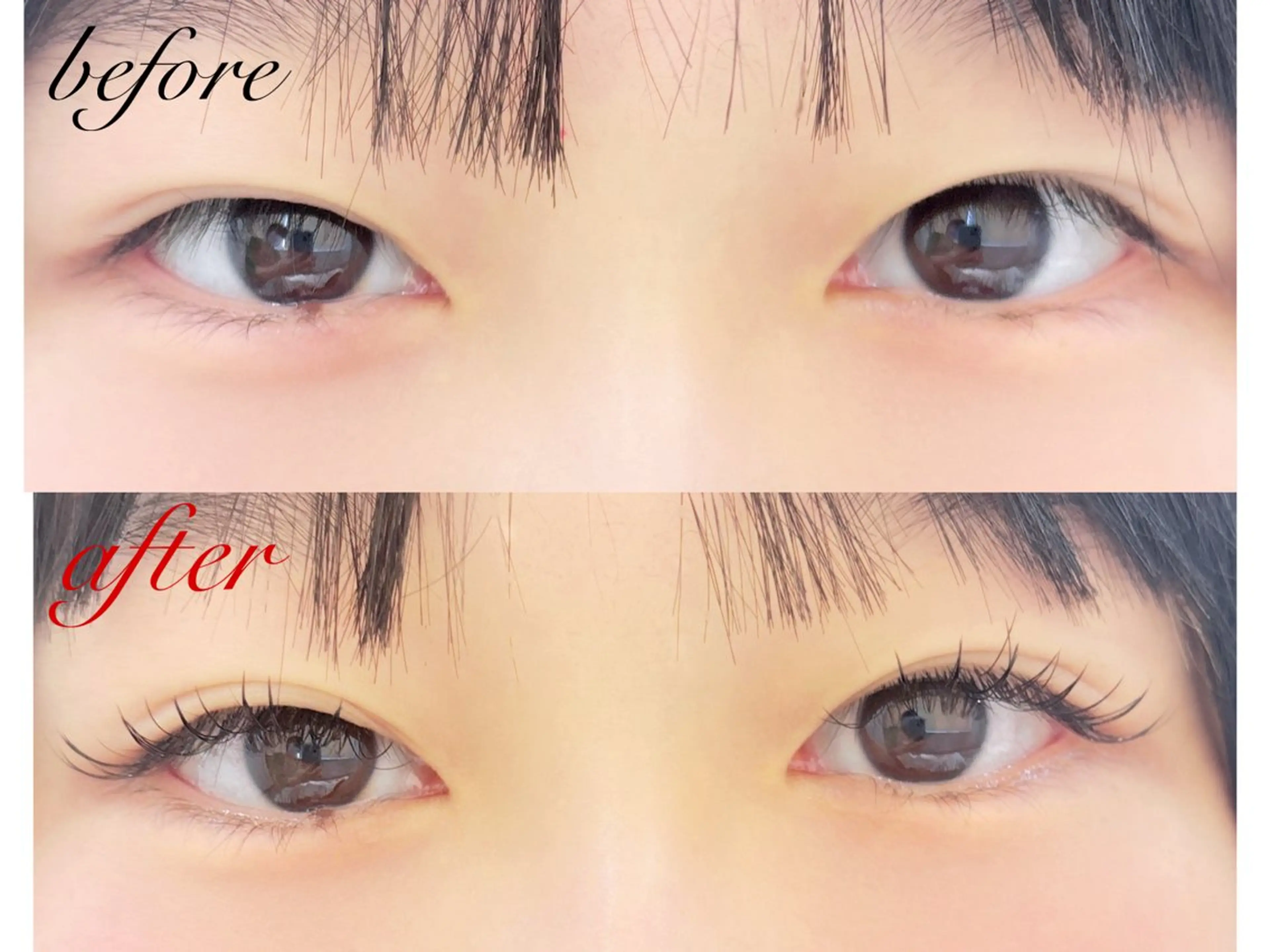 《先着3名》✨⭕️LEDマツエク⭕️✨（フラットラッシュ100本)※オフ代＋500円、＋20本500円の写真