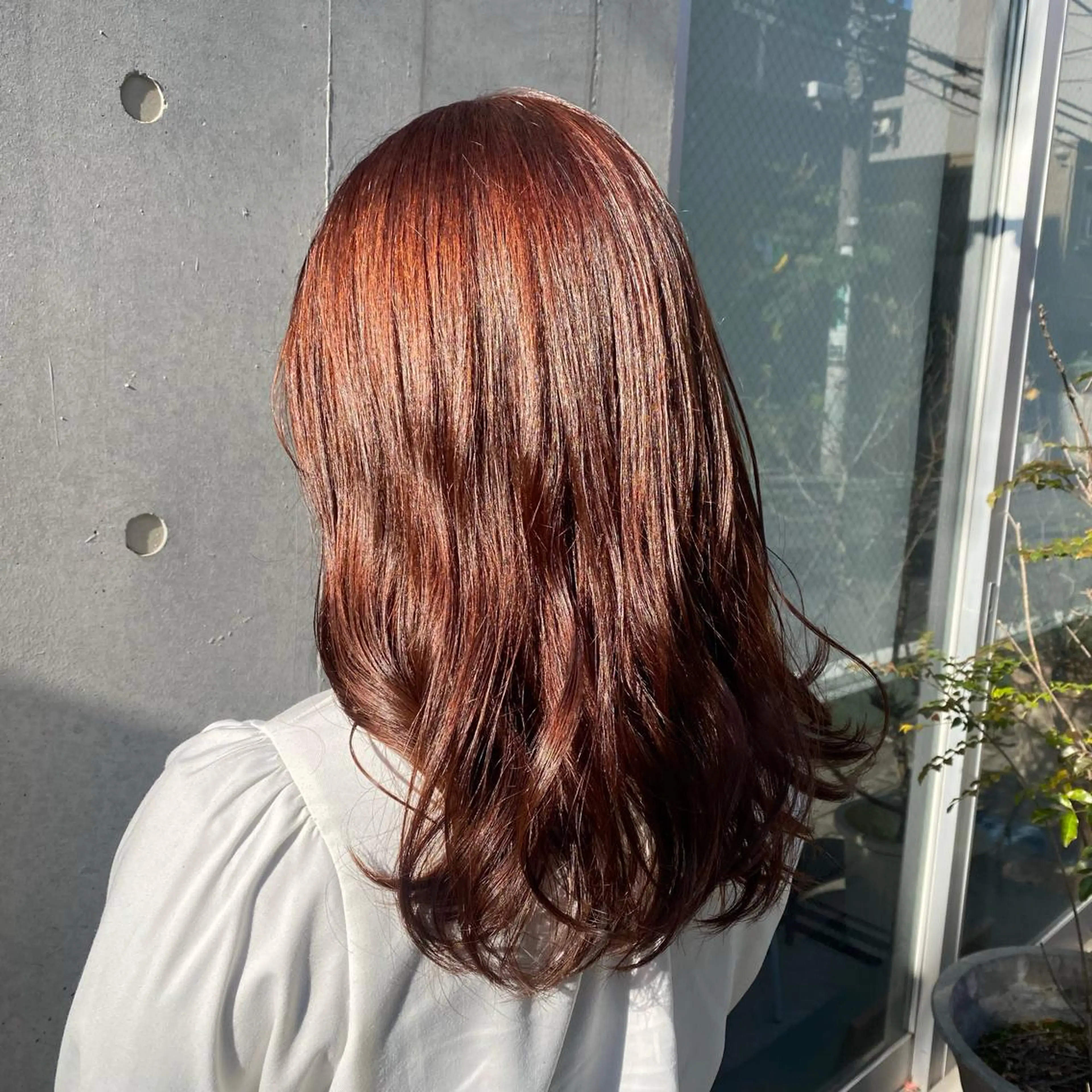 ミディアム カラー 🪭risa 暖色/レイヤー🪭のヘアスタイル