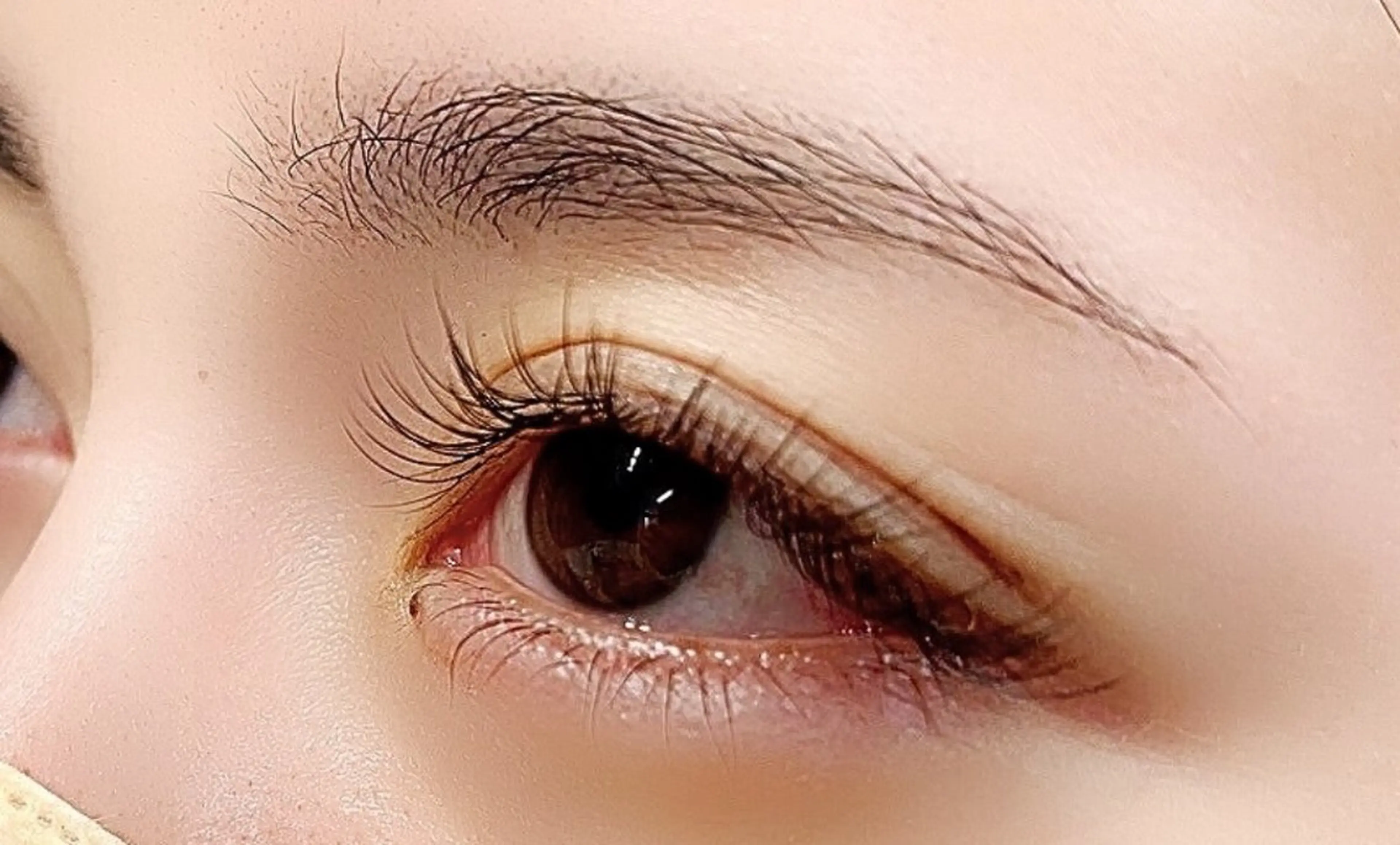 フラットラッシュ180本の写真