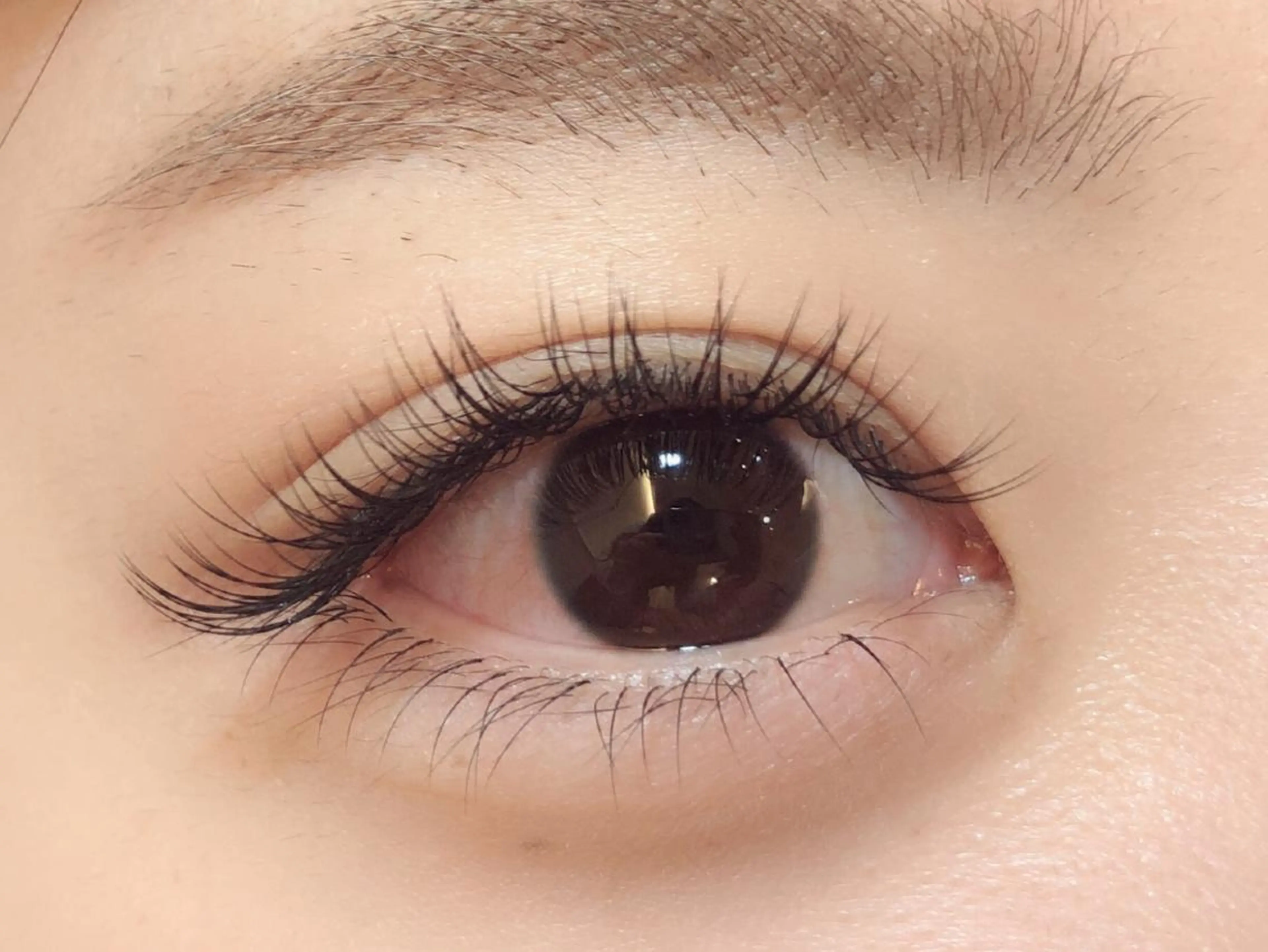 マツエク・マツパ Cカール セーブル セクシー Luana北千住🩵 株木 美果のマツエク・マツパデザイン