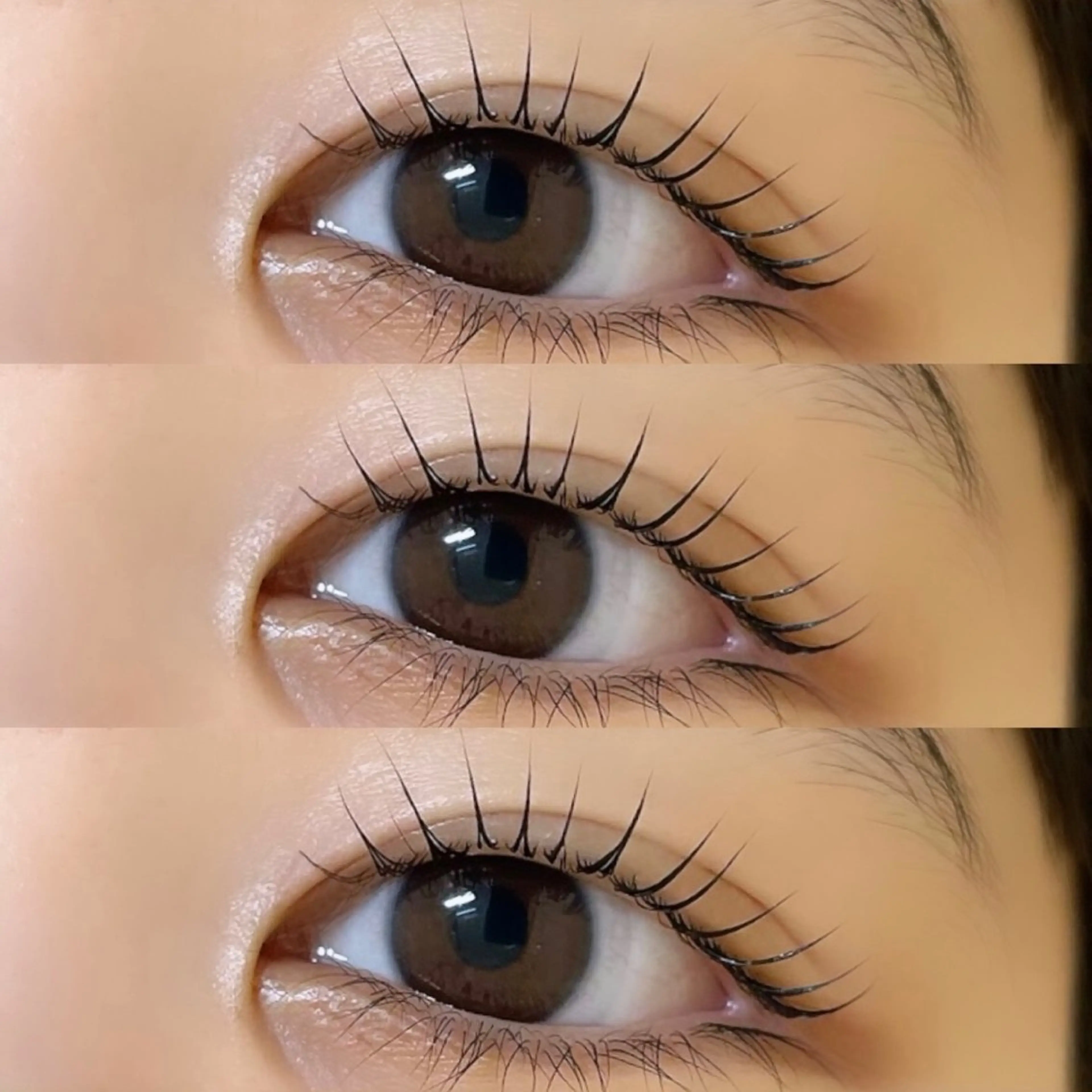 マツエク・マツパ マツパ 束感/LED/まつパ 🌼segawaのマツエク・マツパデザイン