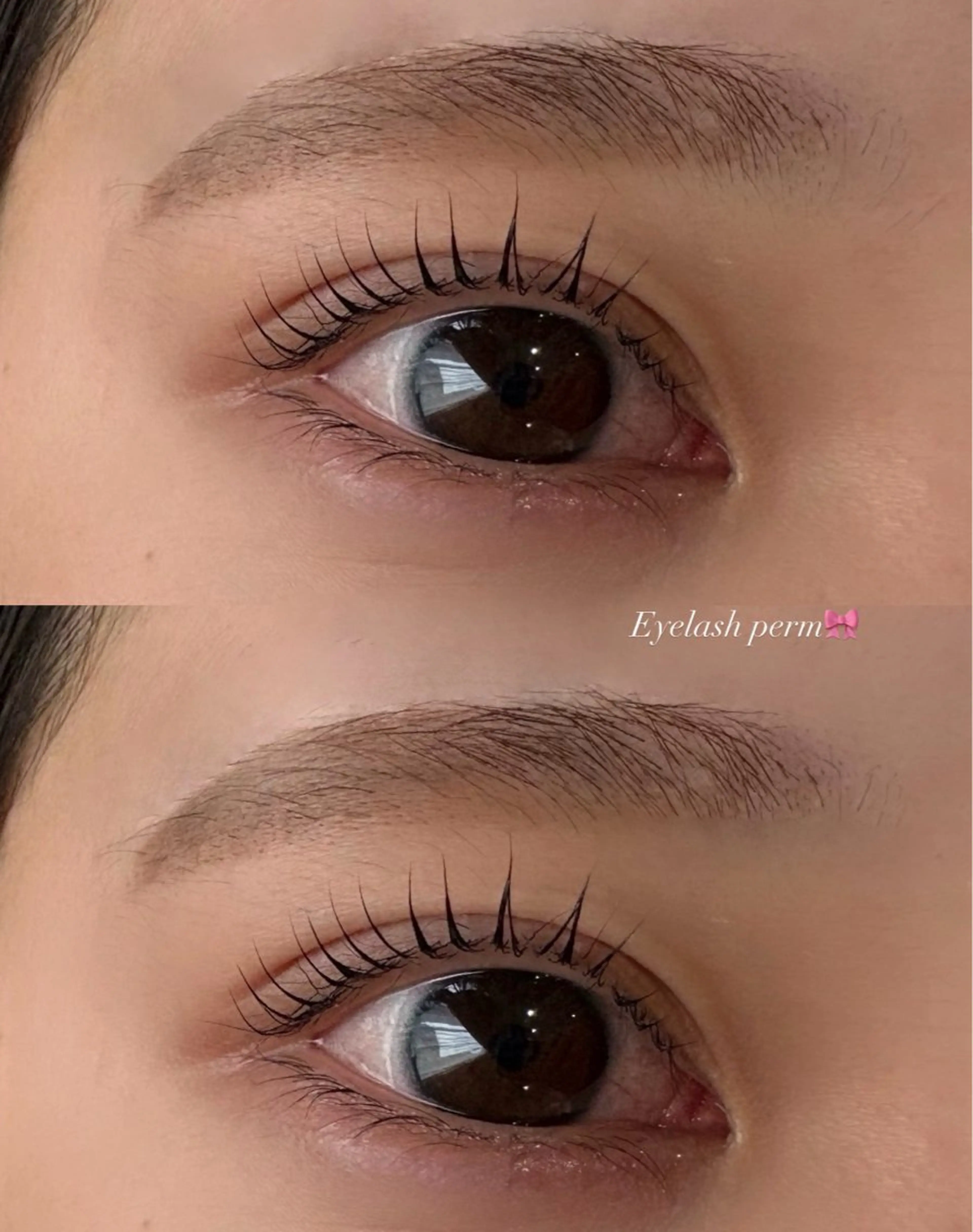 〔4月限定〕まつ毛パーマモデル💝の写真