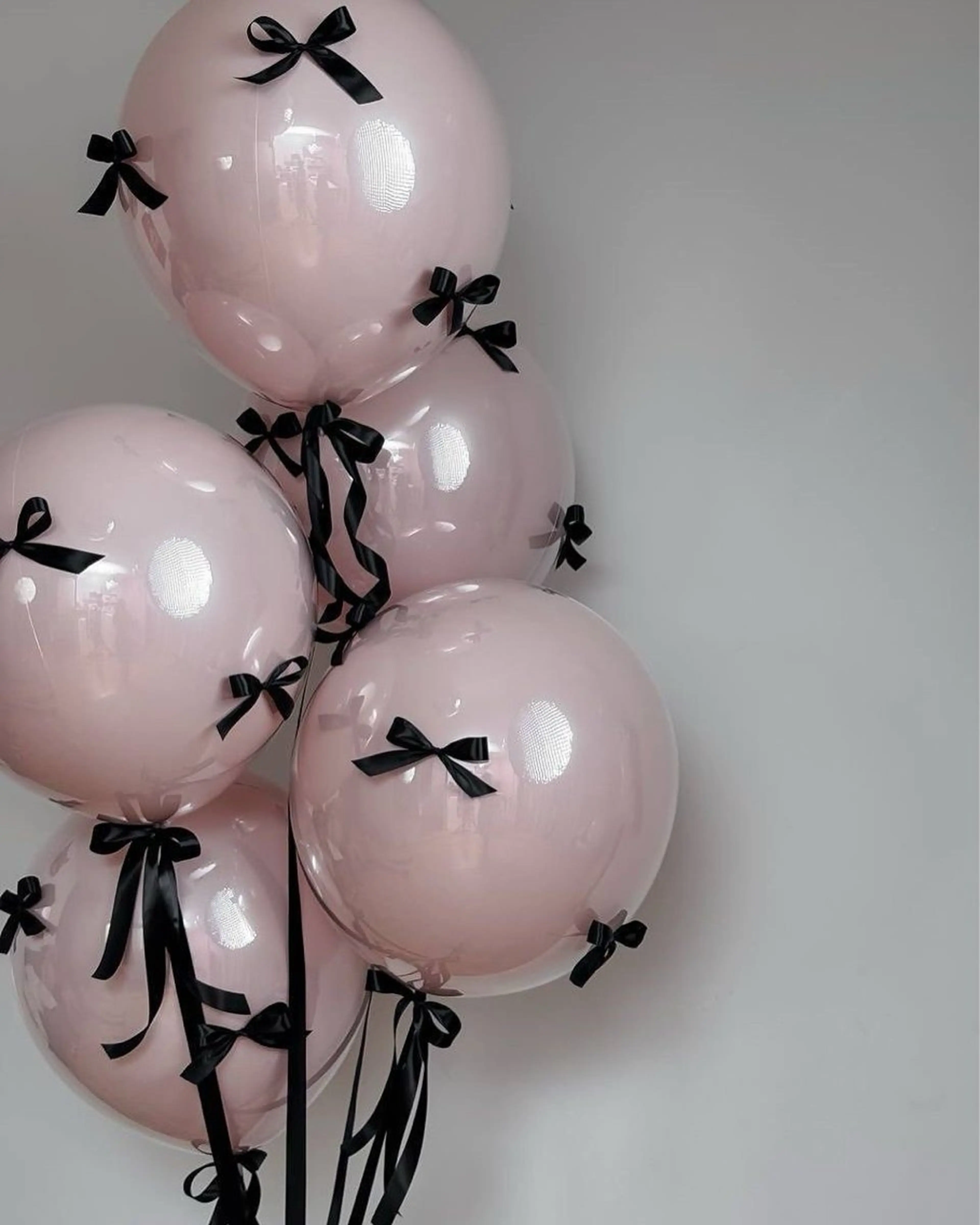 🫧自店ソフトジェルオフのみ🫧 ファイリング込の写真