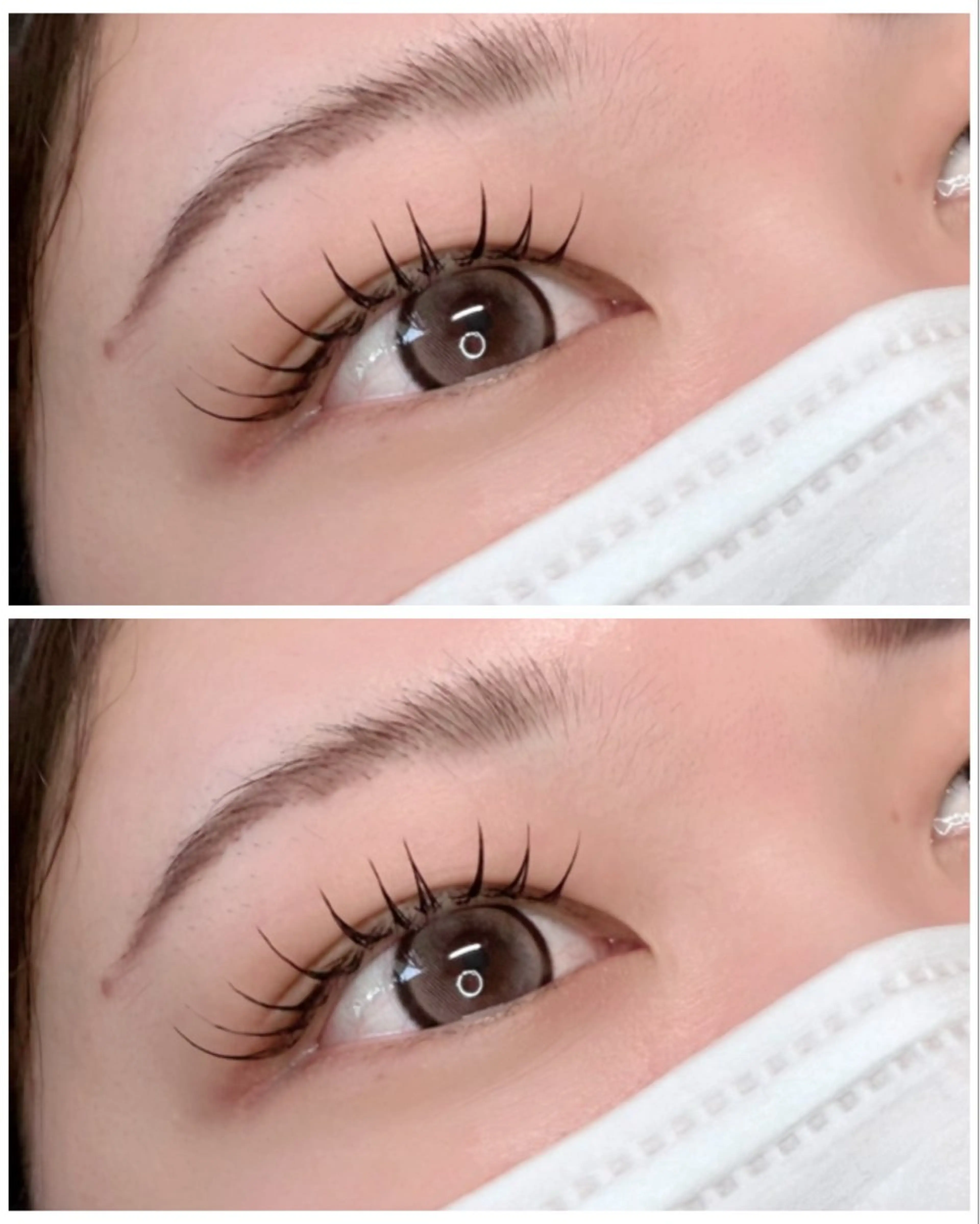 【オフなし】LEDフラットマットラッシュマツエク140本の写真