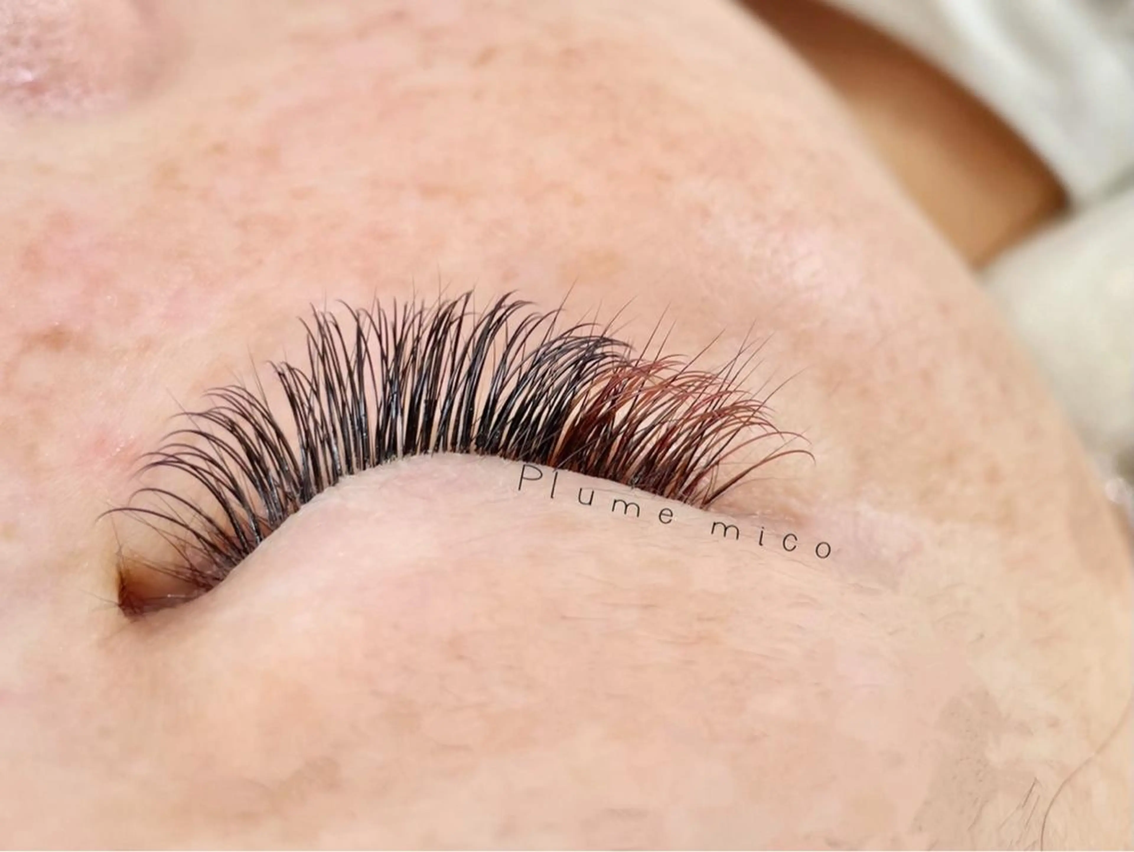 マツエク・マツパ マツエク Plume micoのマツエク・マツパデザイン