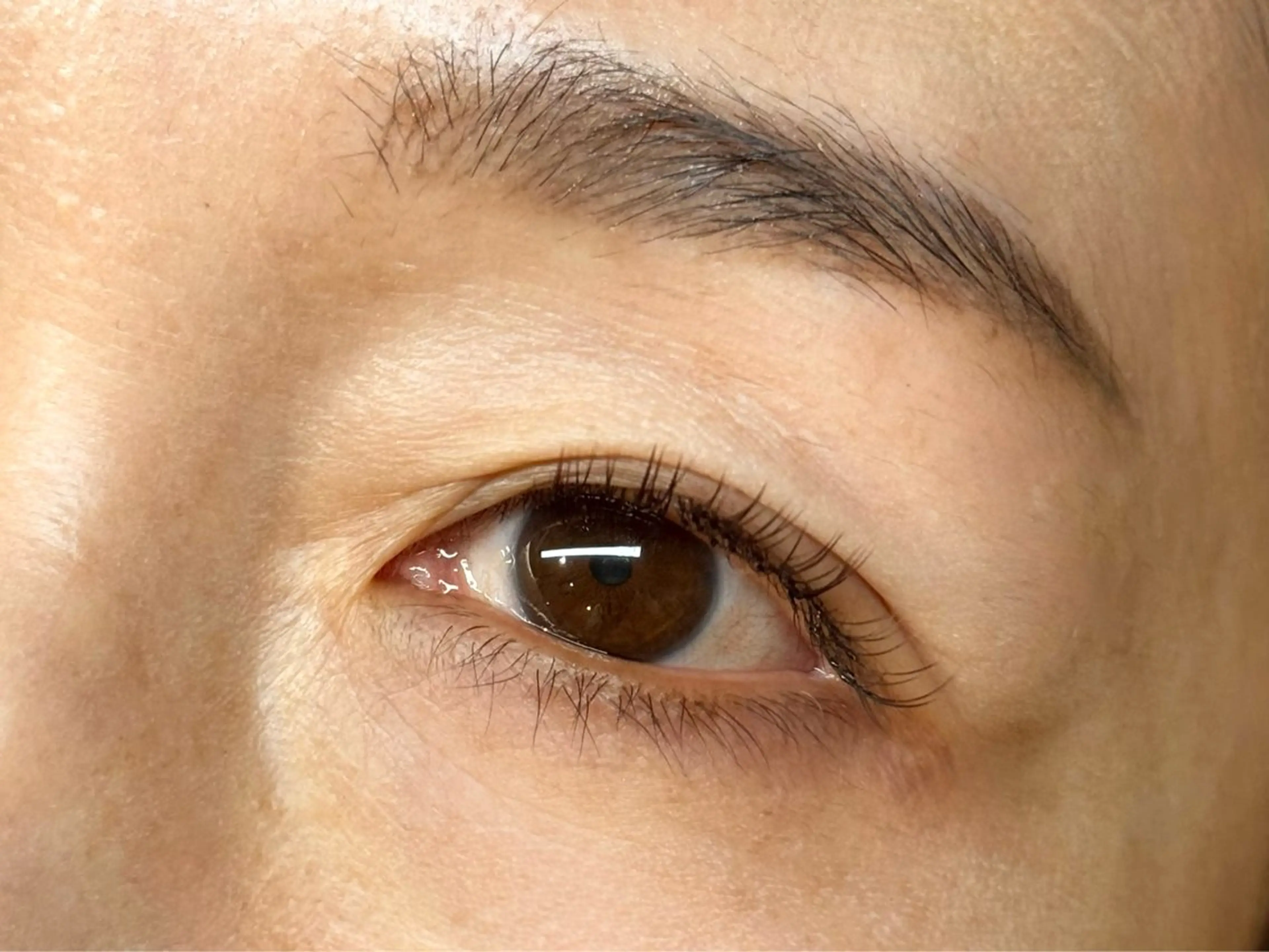 マツエク・マツパ フラットラッシュ Lilac二子玉川 大人のまつ毛サロンのマツエク・マツパデザイン