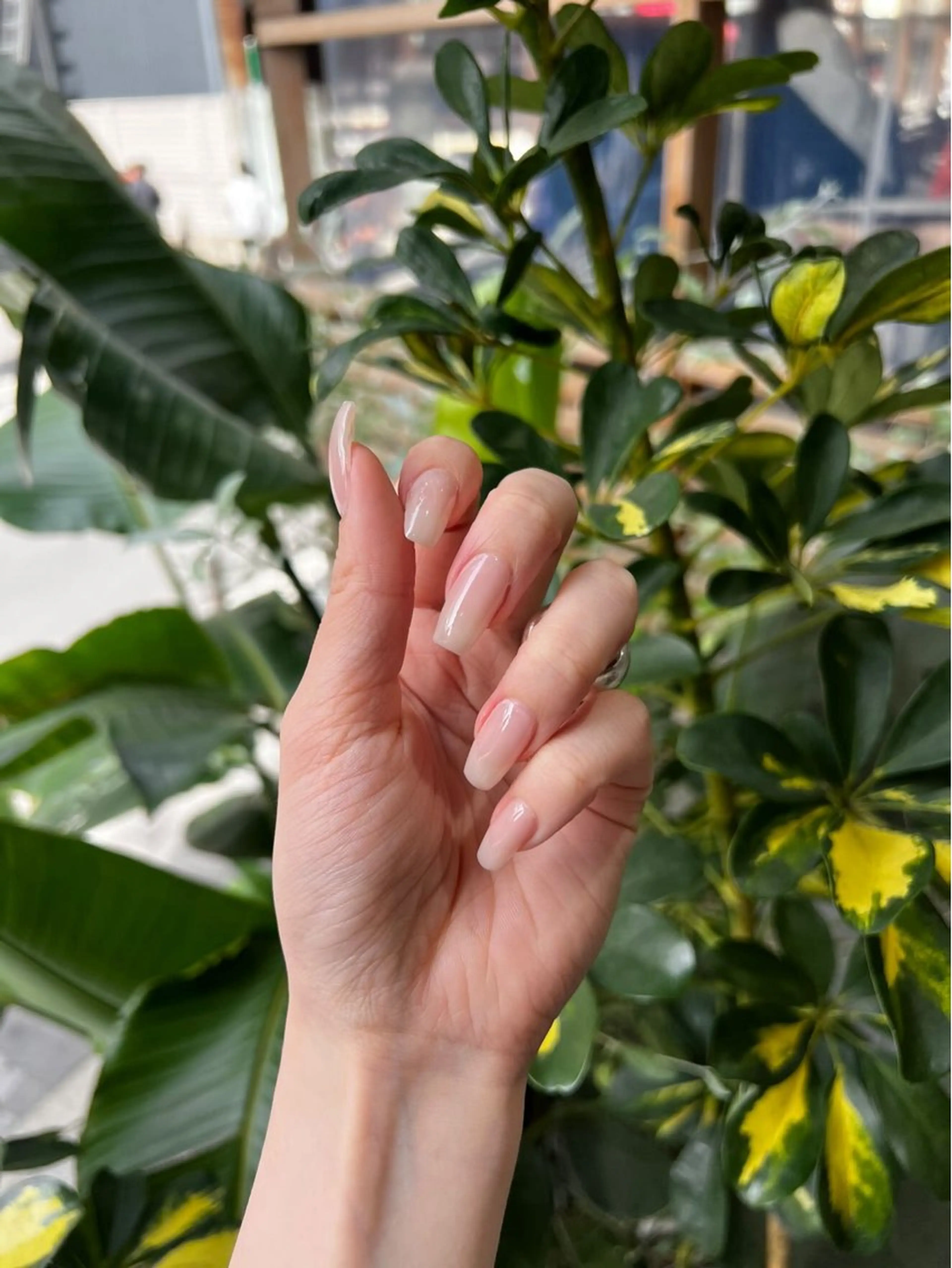 ワンカラーネイルの写真