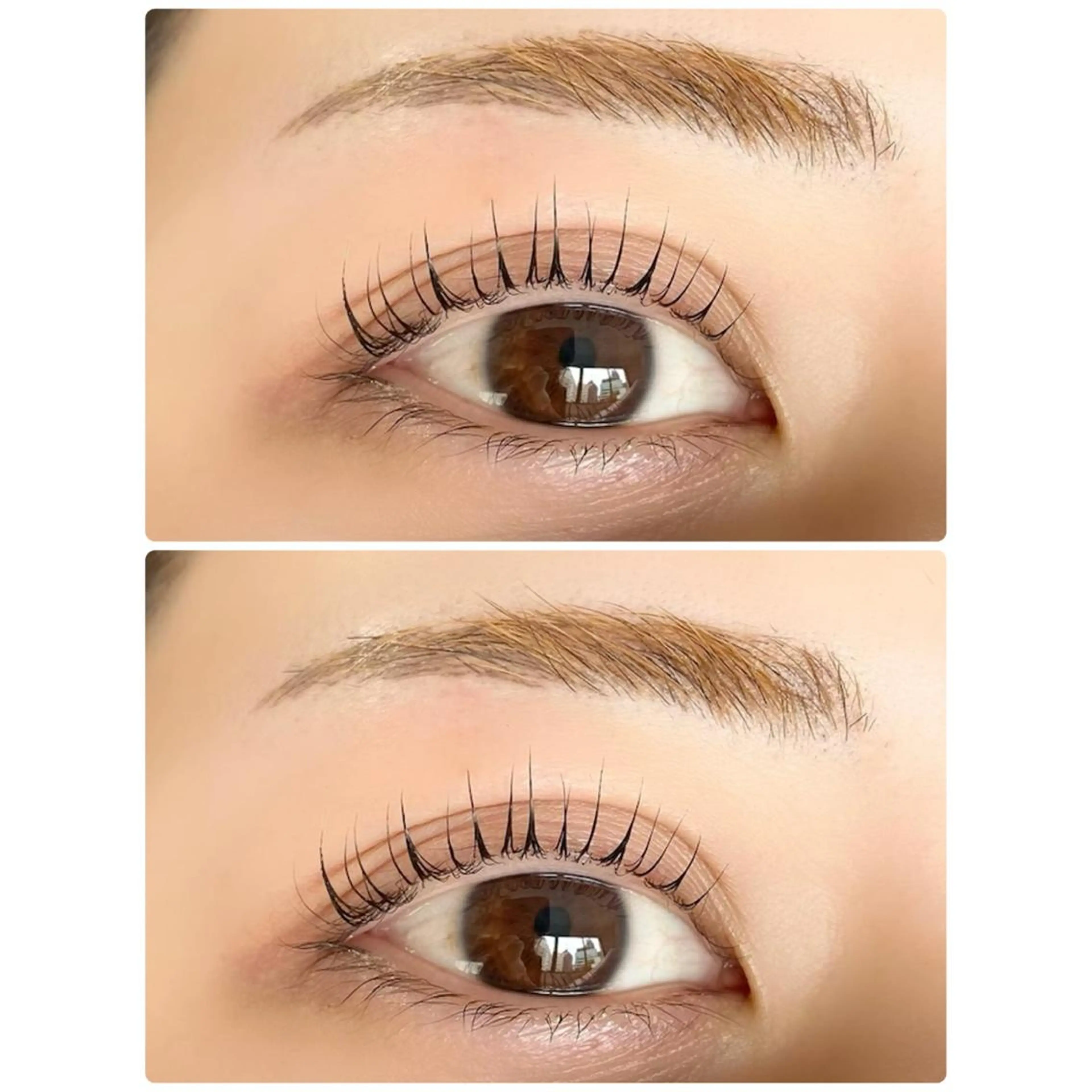 【平日11​〜​15時来店限定】デザインラッシュリフト orパリジェンヌラッシュリフト💎の写真