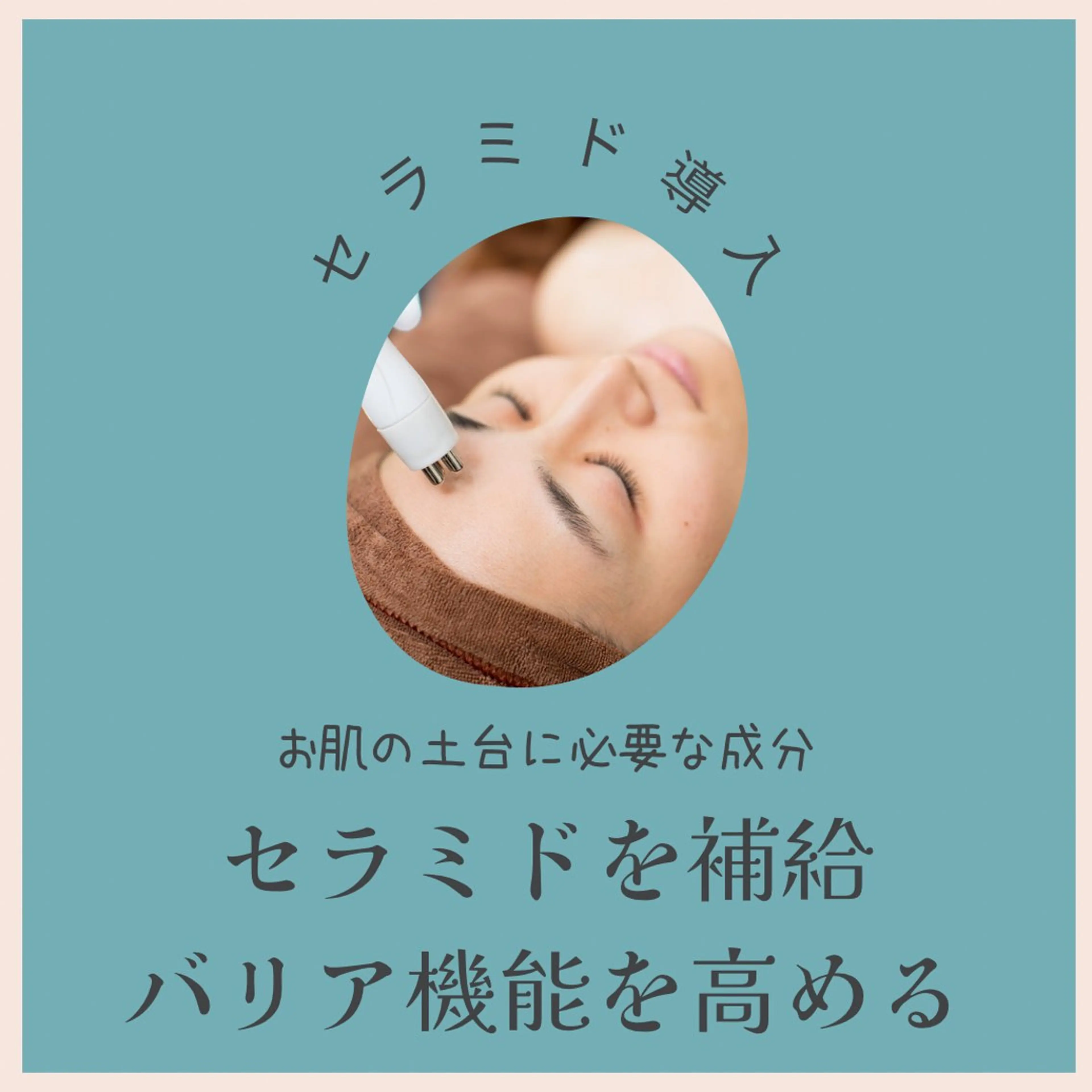 ハーブ/小顔/リンパ /大阪狭山市のエステ・リラクイメージ