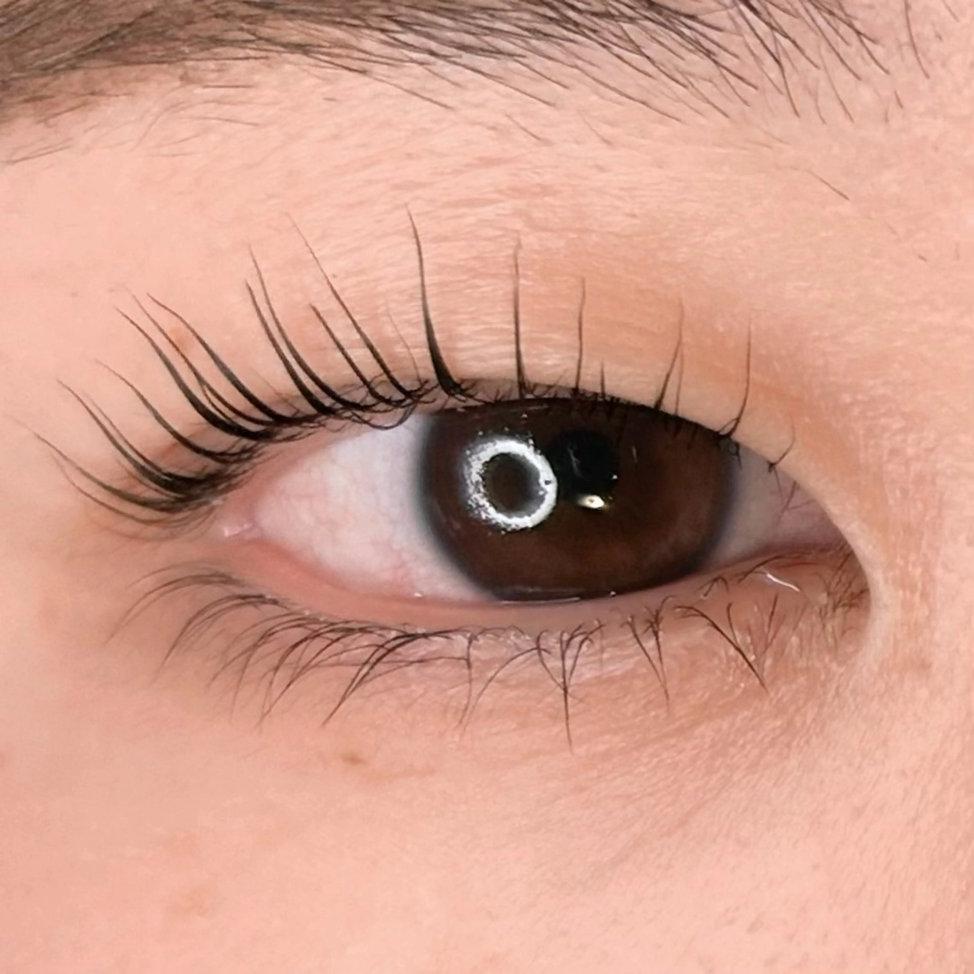 マツエク・マツパ パリジェンヌラッシュリフト soposilma 🧸今季OPENのマツエク・マツパデザイン