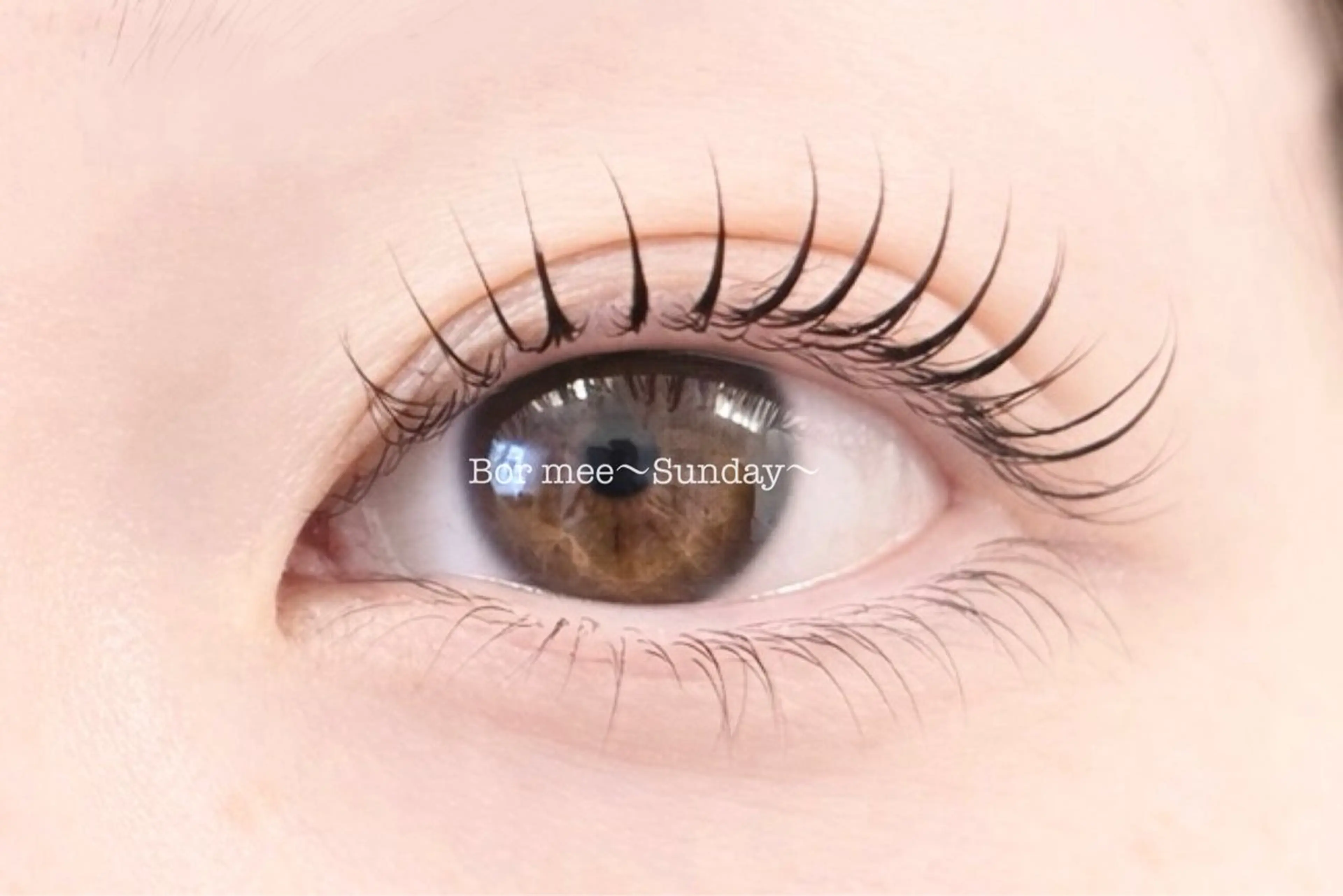 🦋人気No. 1まつげパーマ🦋ケラチントリートメント付きの写真