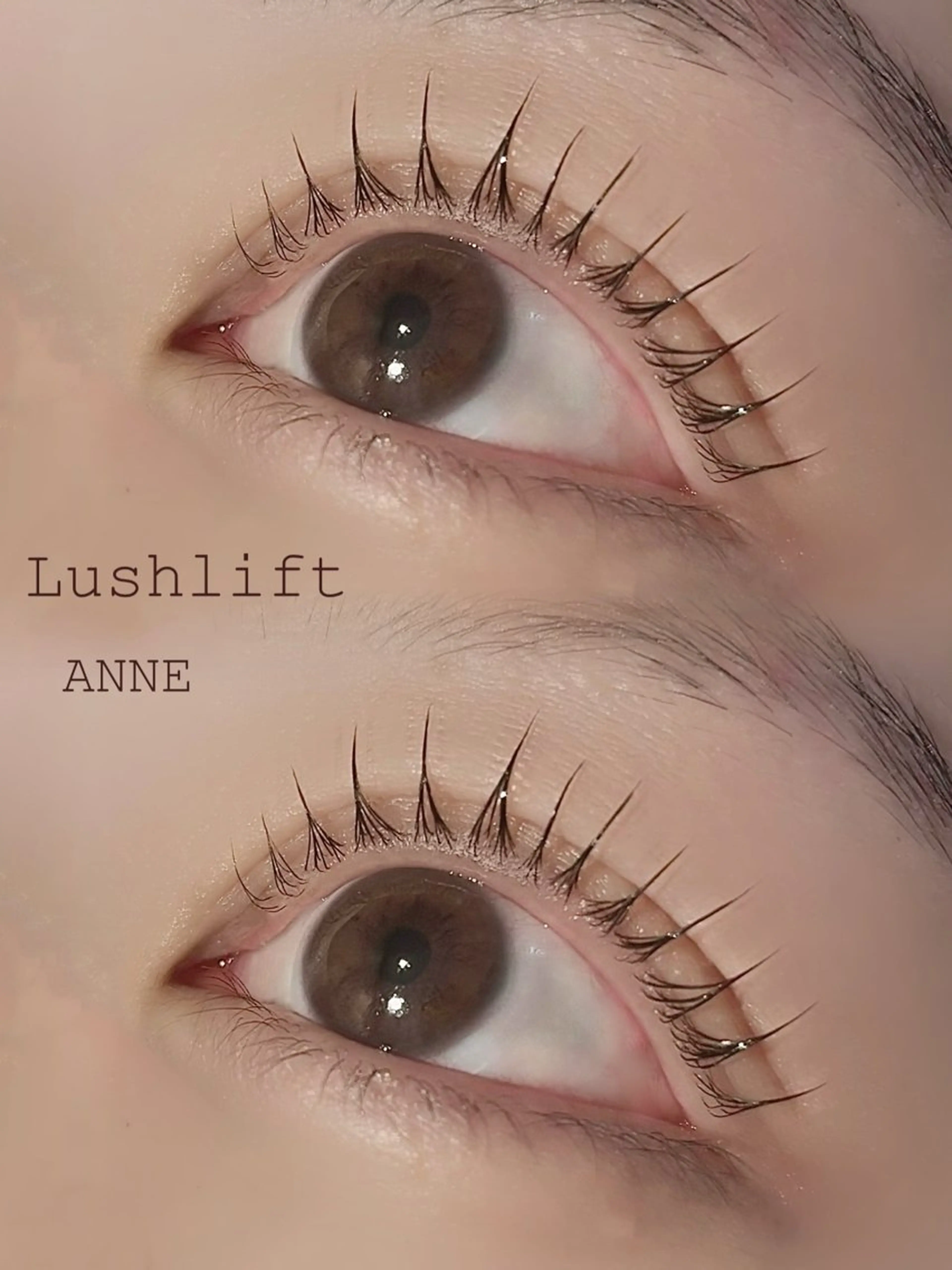 マツエク・マツパ 束感まつ毛 韓国風マツエク ナチュラル 一重×まつ毛パーマ マツパ ANNE chizuのマツエク・マツパデザイン