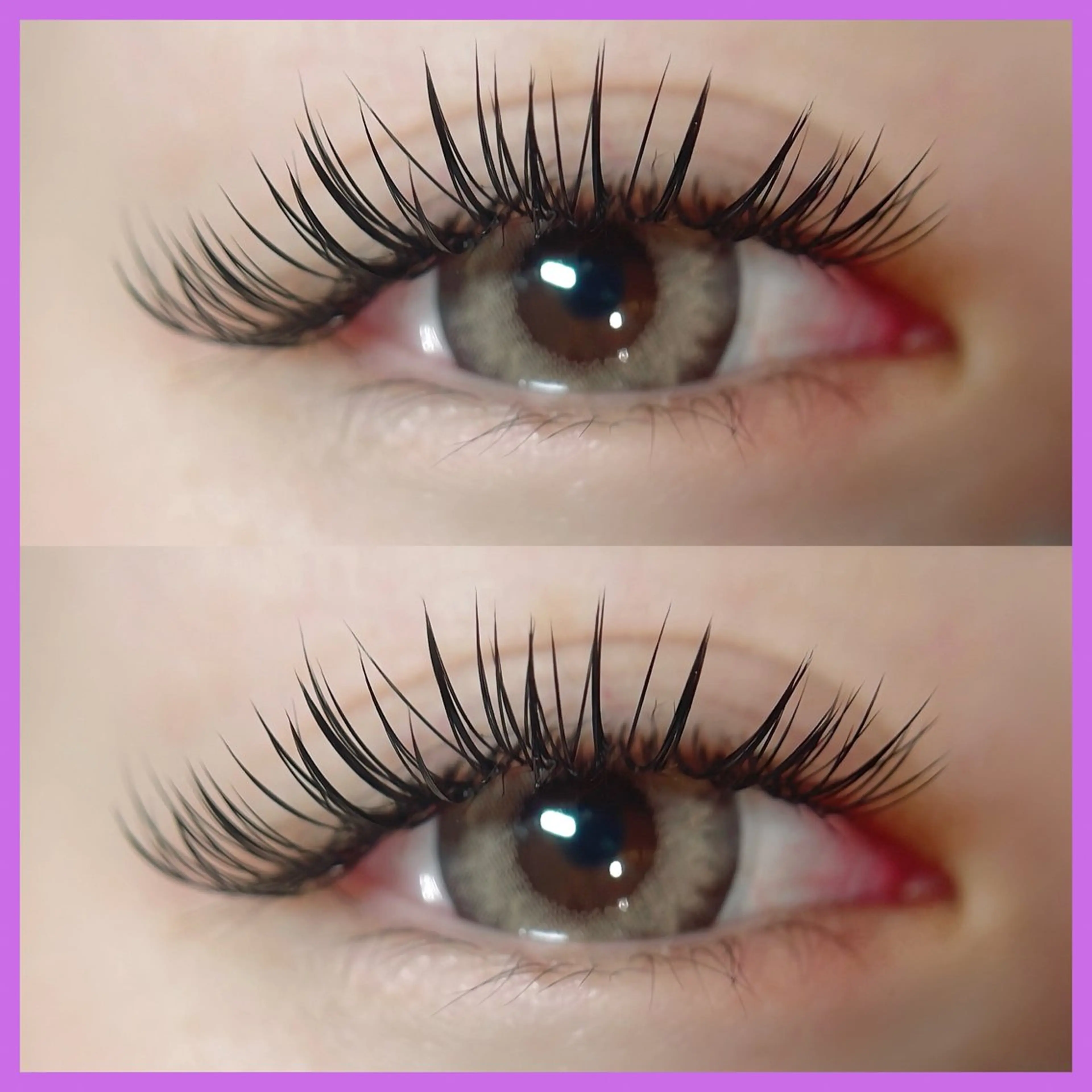 《圧倒的モチの良さ》💜バインドロック80束：初回オフ無料+1000円でブラウンカラー変更可能〇の写真