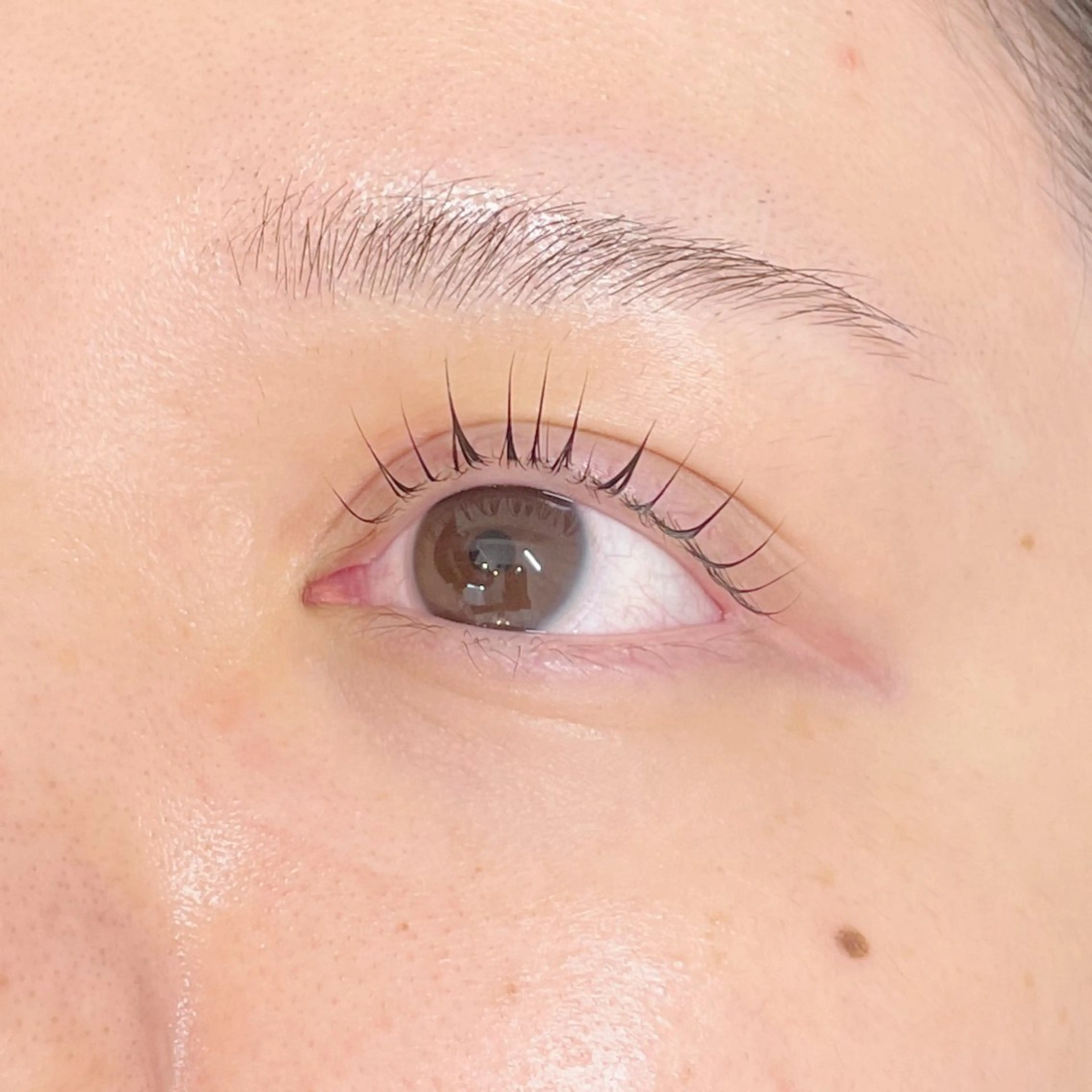 マツエク・マツパ SSINSTUDIO /ami🕊️の眉毛・アイブロウイメージ