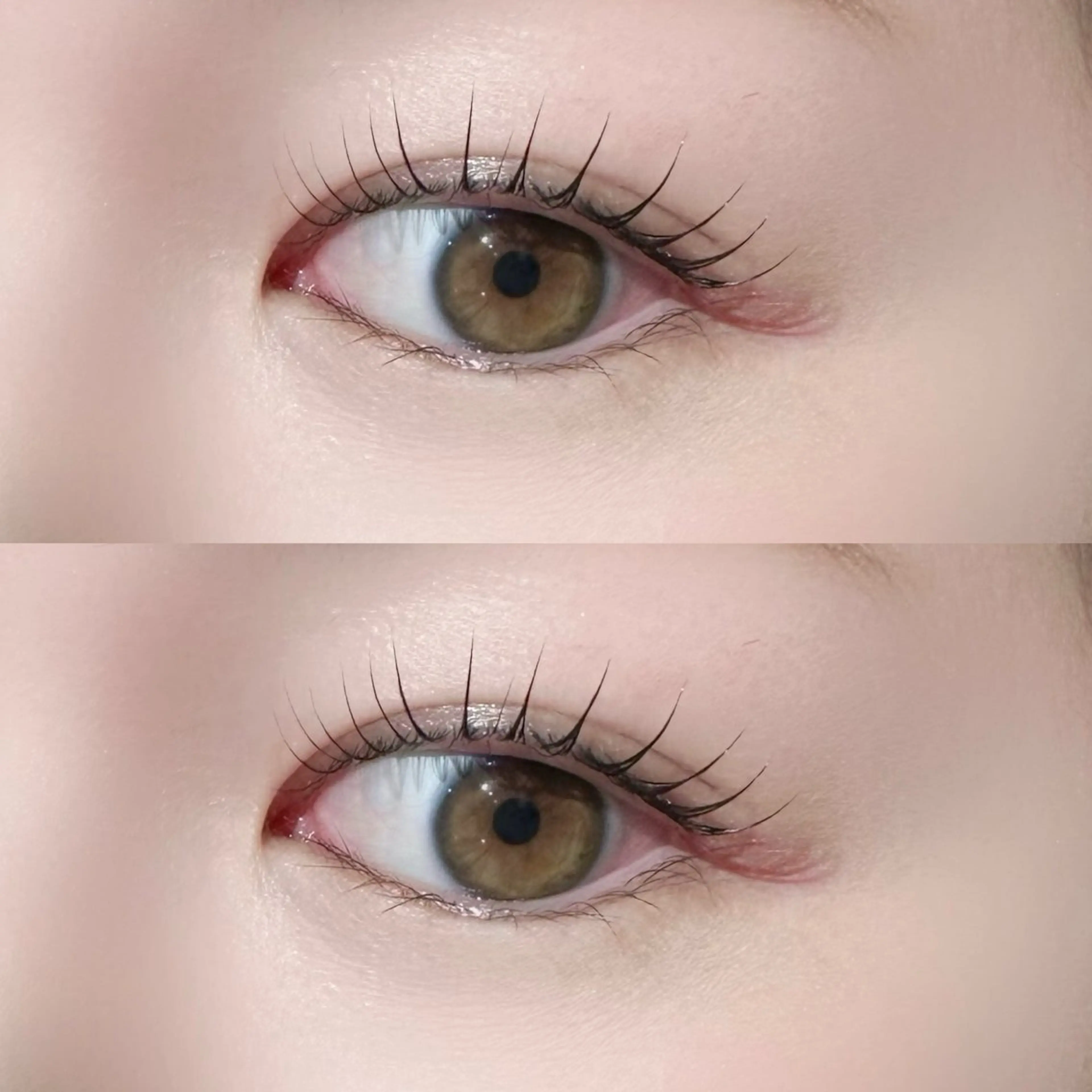 Lash Lift (まつ毛パーマ)の写真