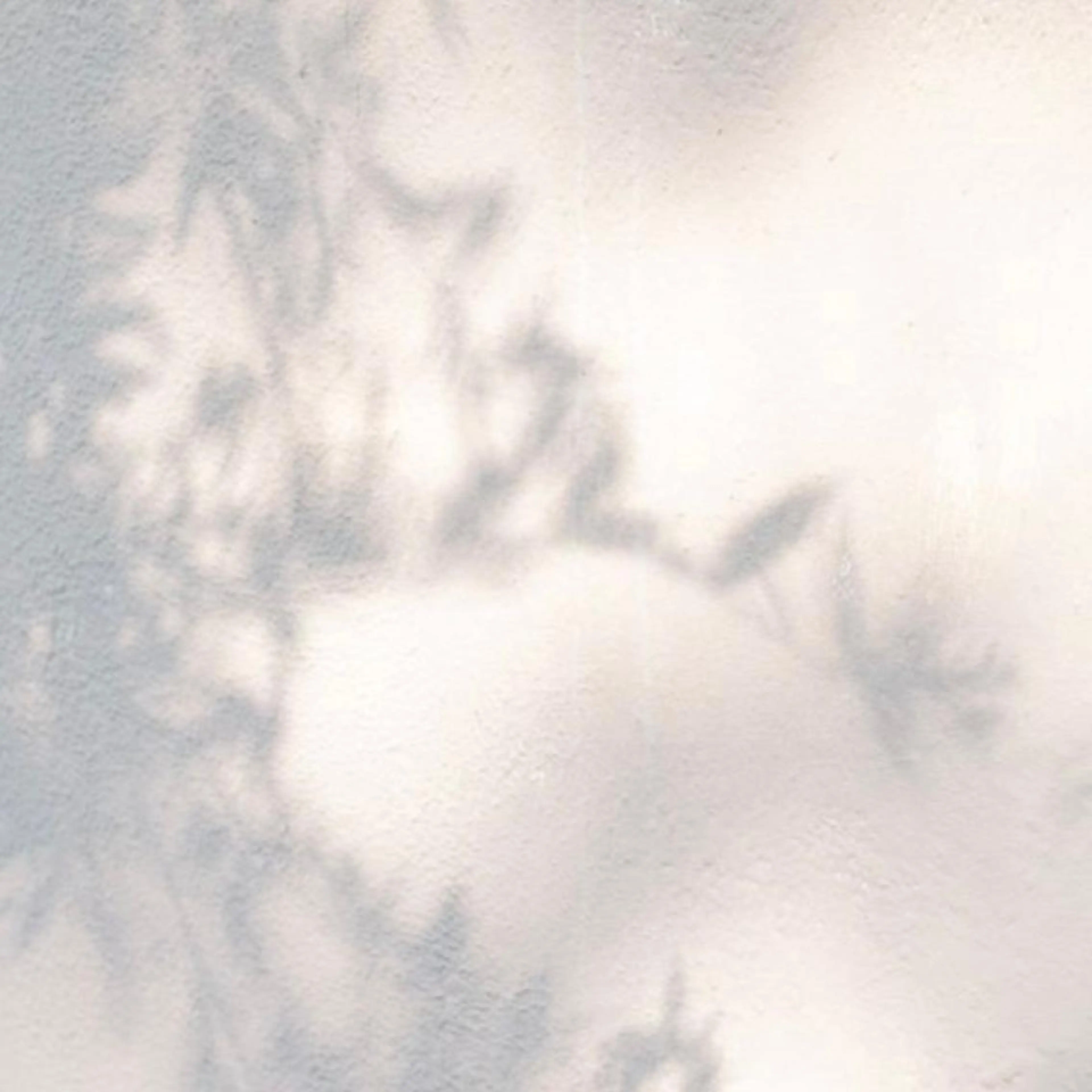 マツエク・マツパ Cion eyelashのマツエク・マツパデザイン